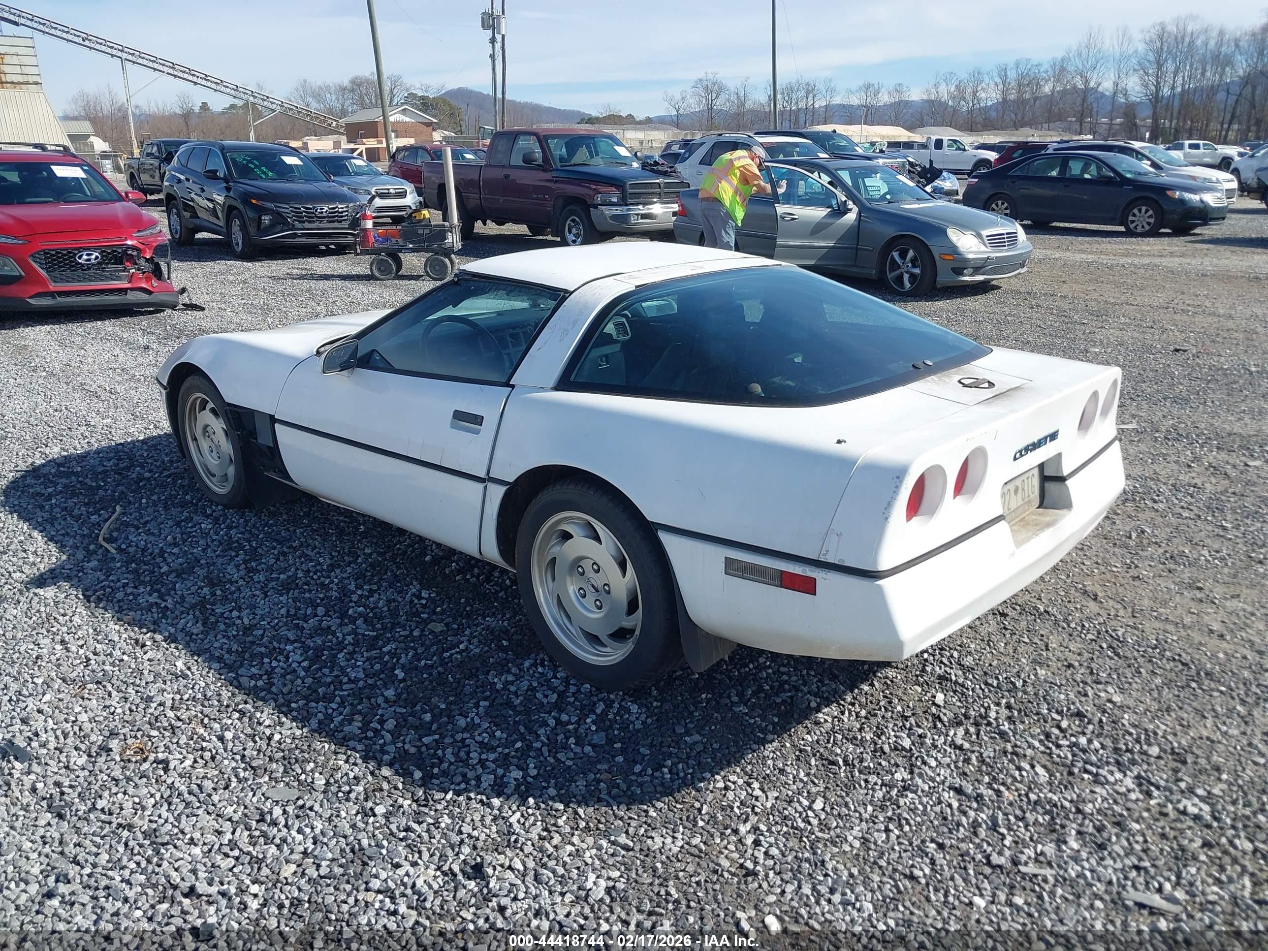 CHEVROLET CORVETTE image 3