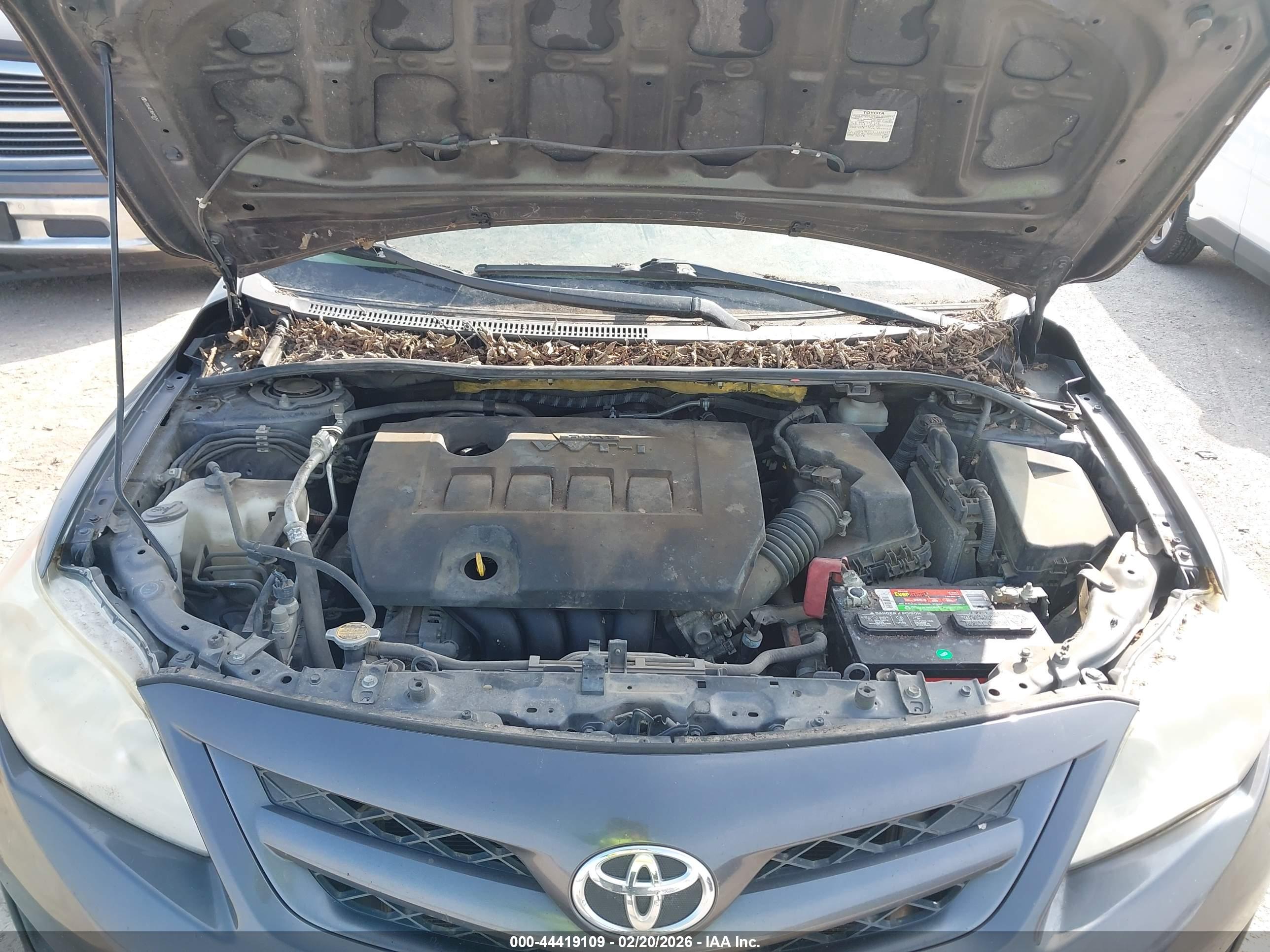TOYOTA COROLLA image 10