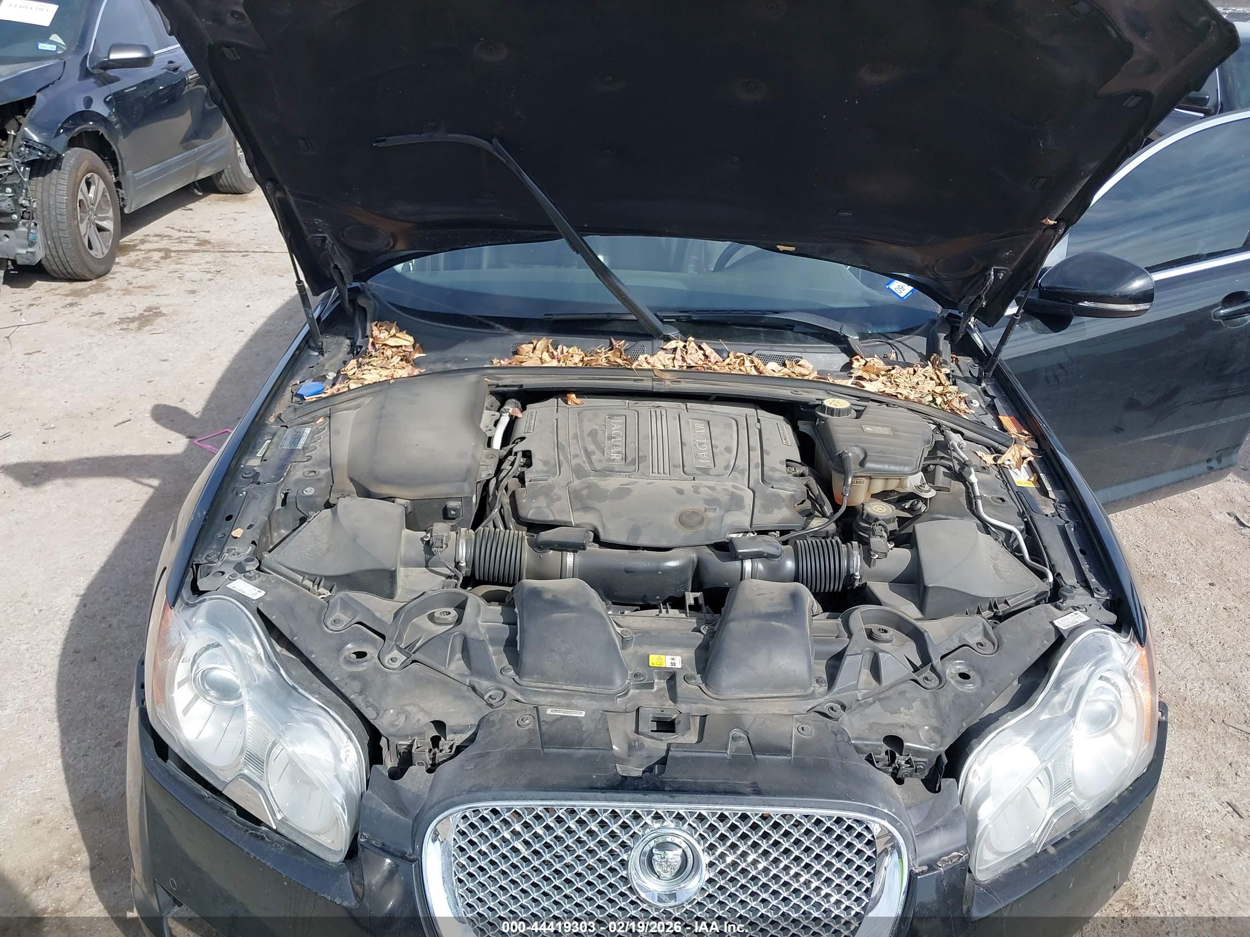 JAGUAR XF image 10