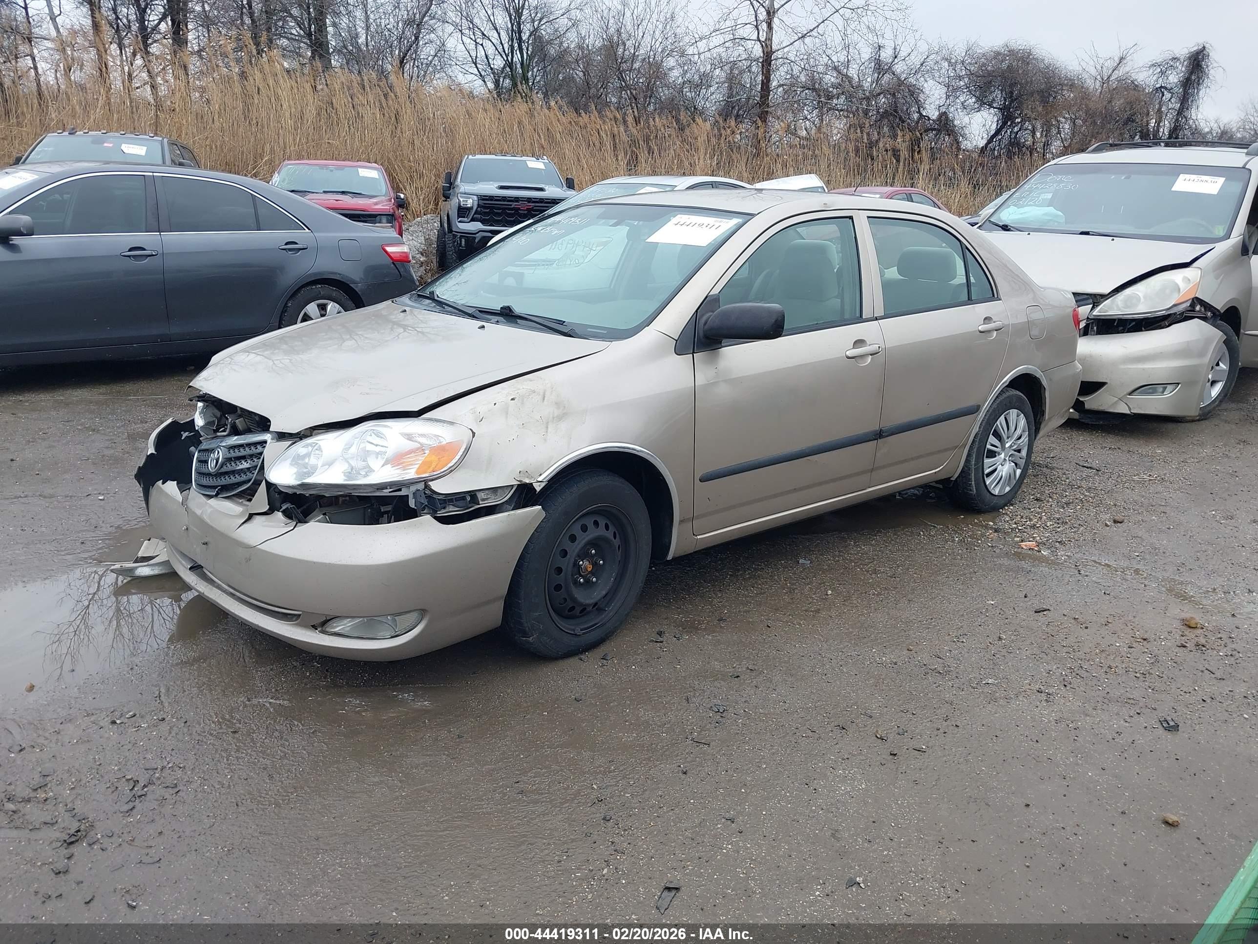 TOYOTA COROLLA image 2