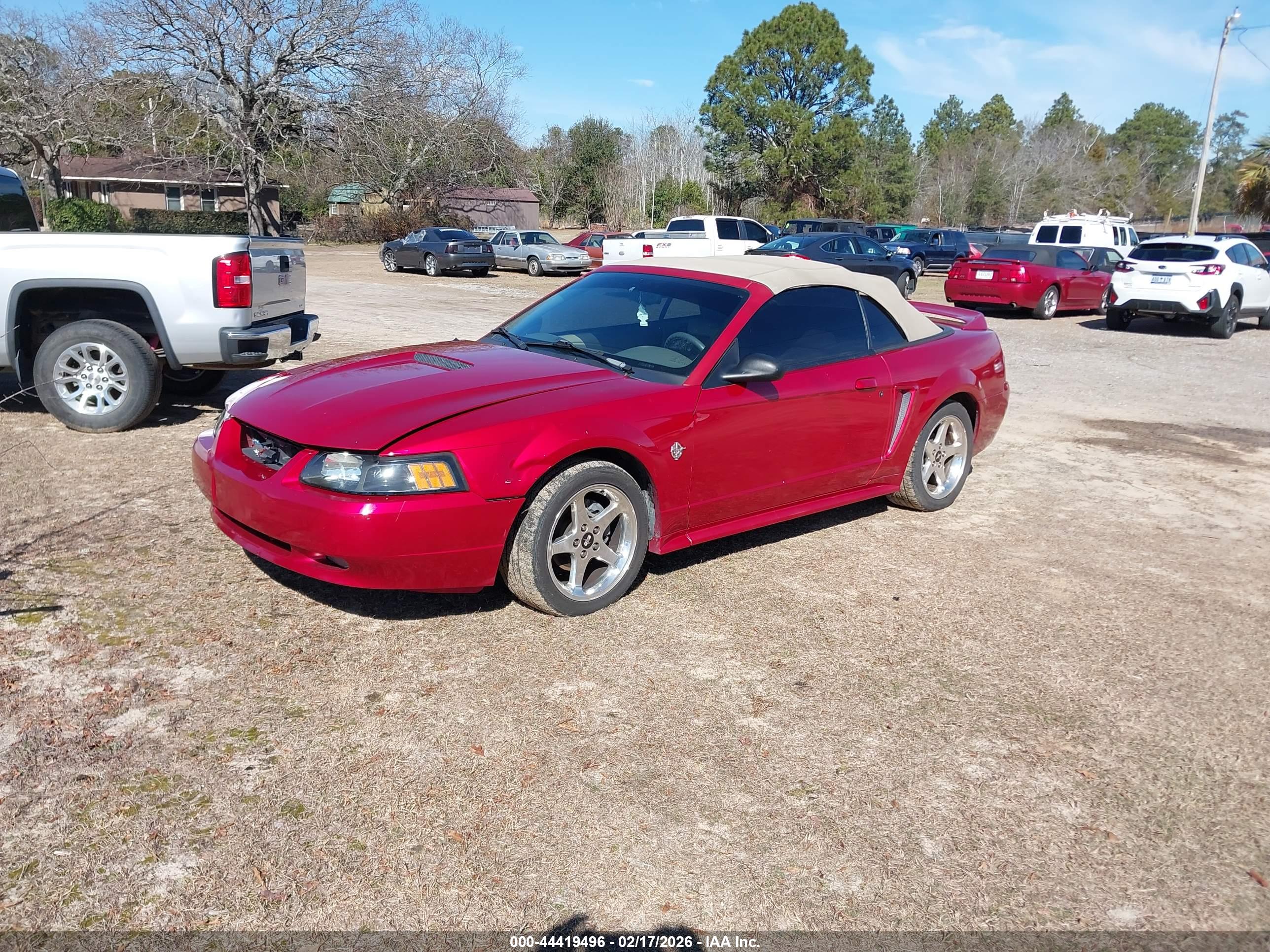 FORD MUSTANG image 2