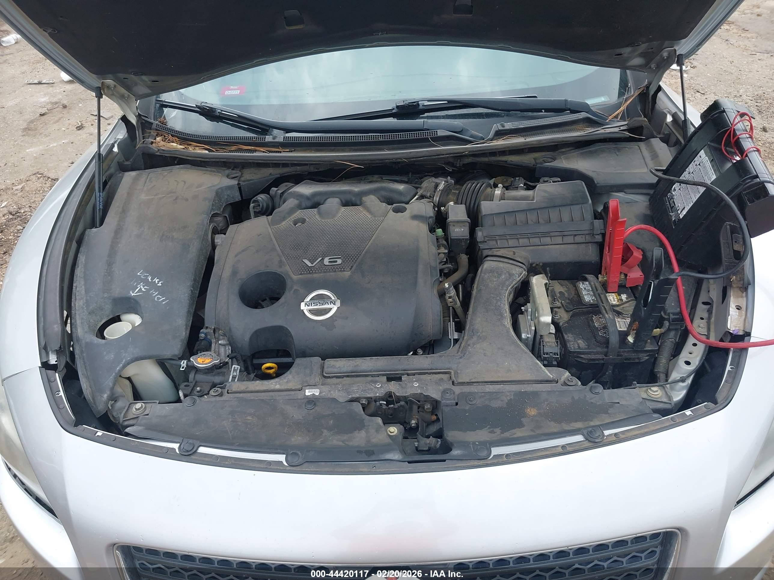 NISSAN MAXIMA image 10