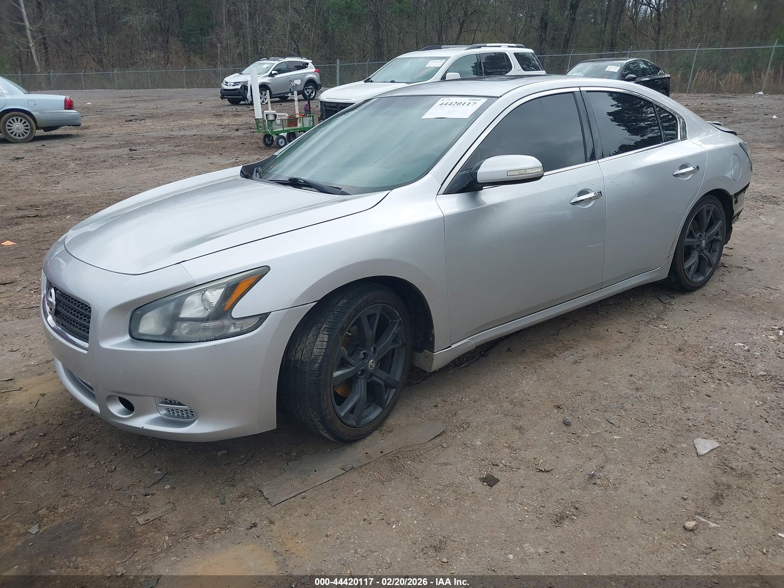 NISSAN MAXIMA image 2
