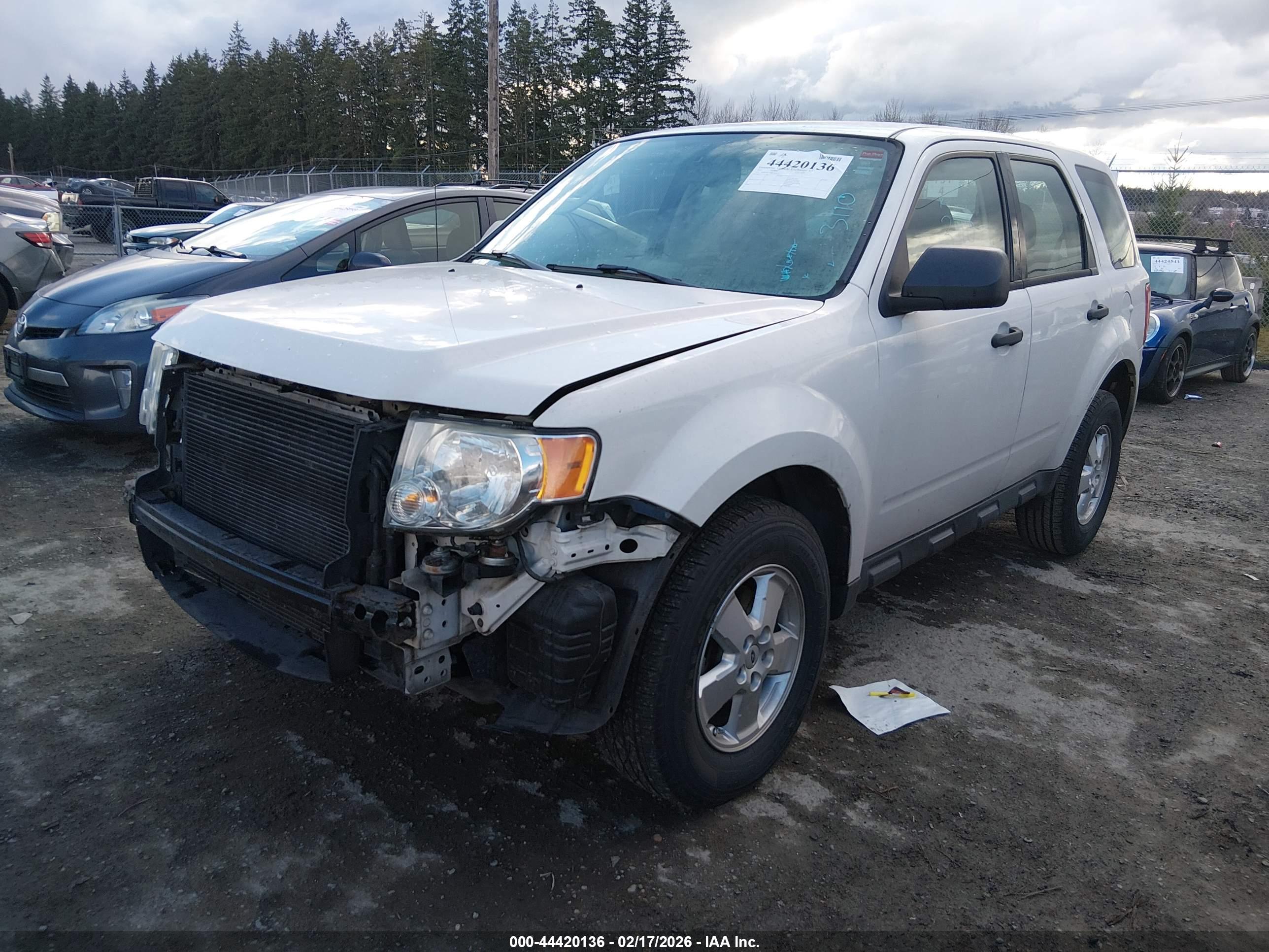 FORD ESCAPE image 2