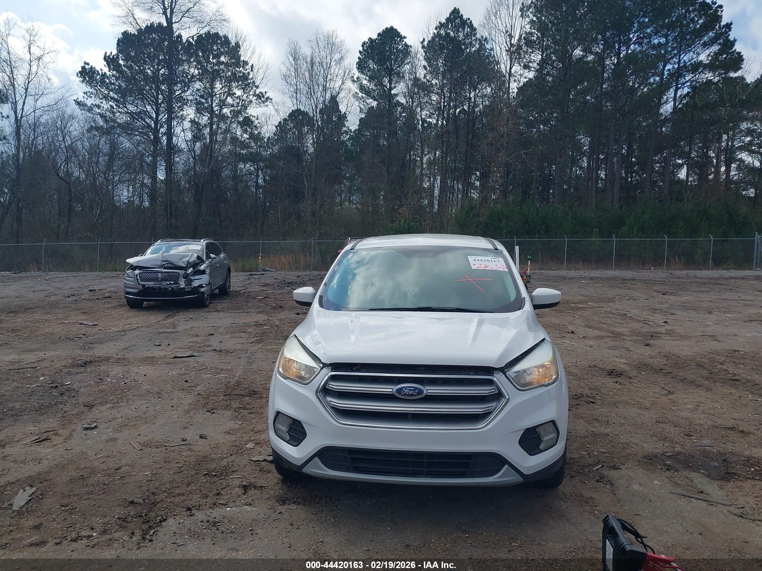 FORD ESCAPE image 6