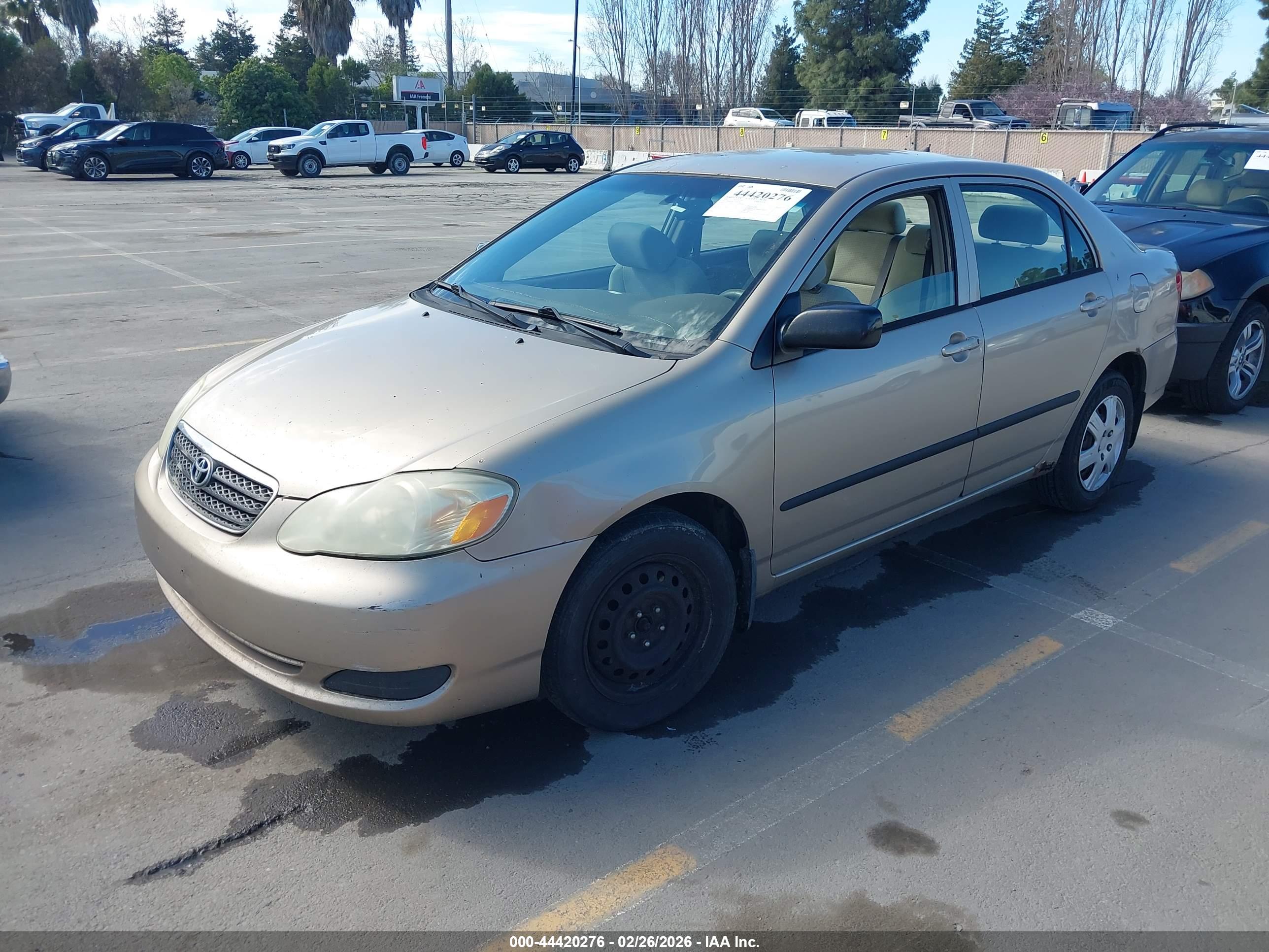 TOYOTA COROLLA image 2