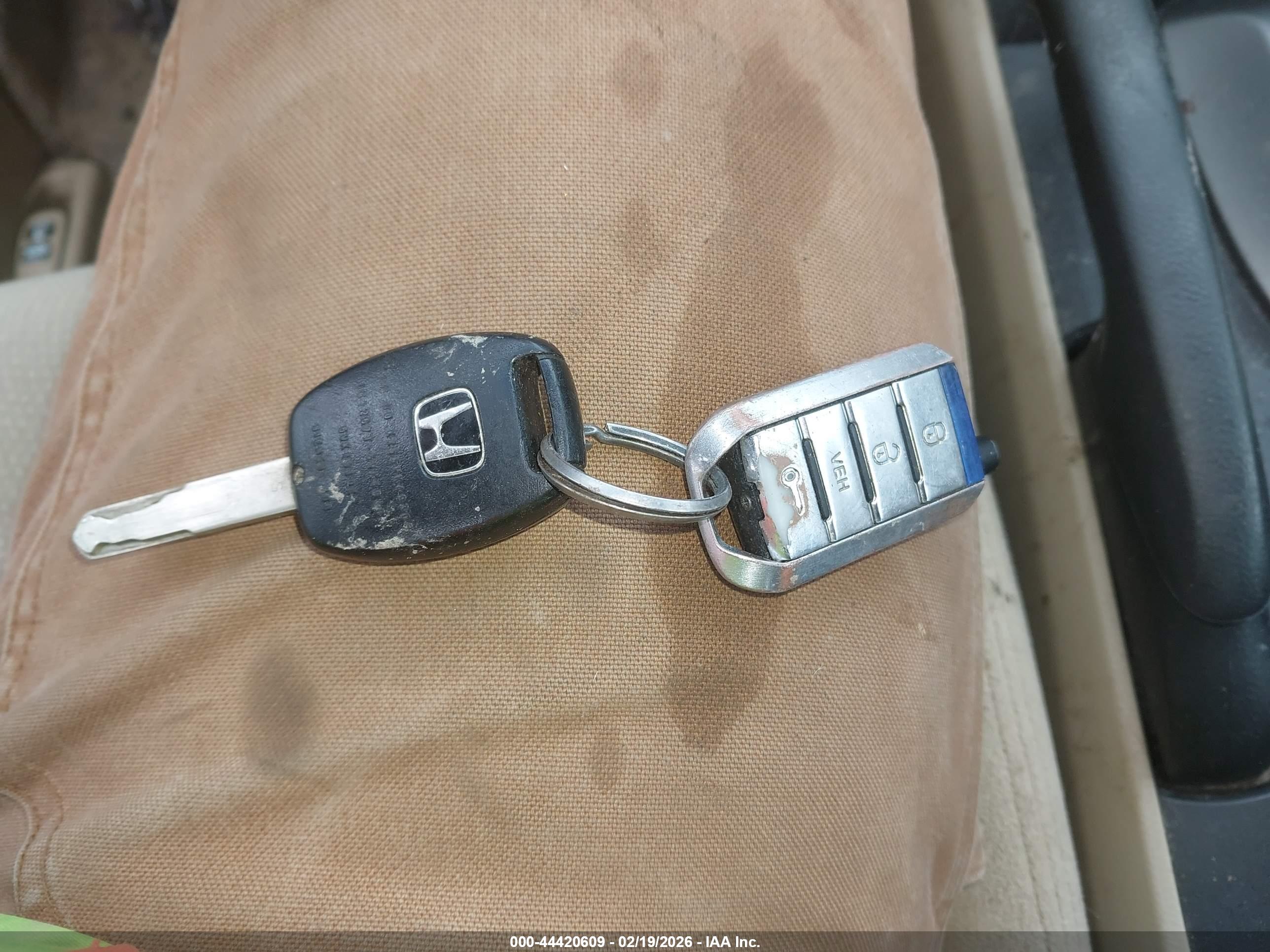HONDA ACCORD image 11