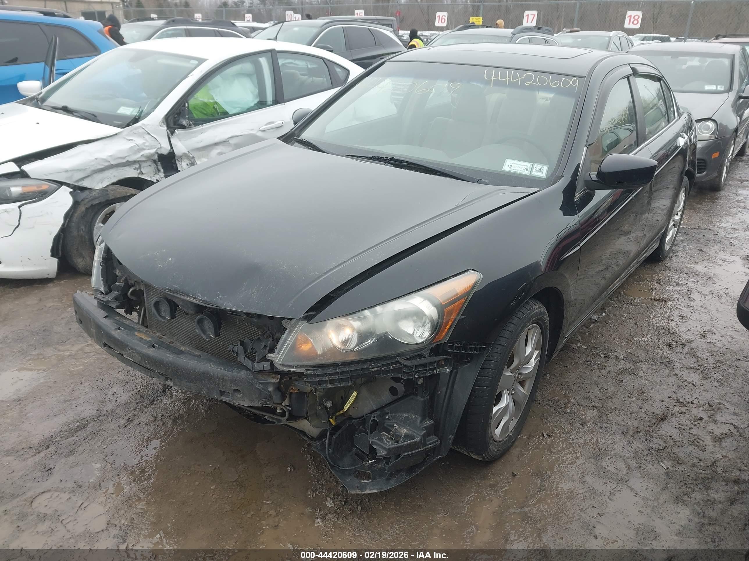 HONDA ACCORD image 2