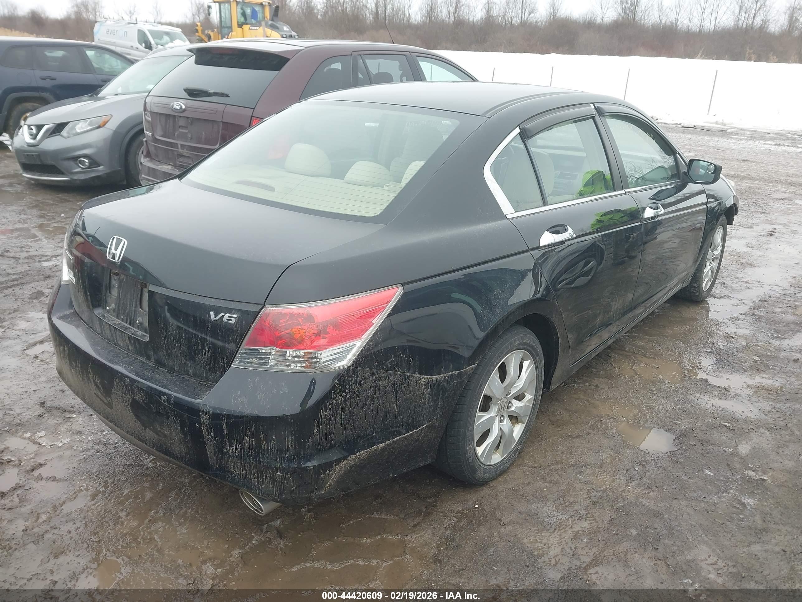 HONDA ACCORD image 4