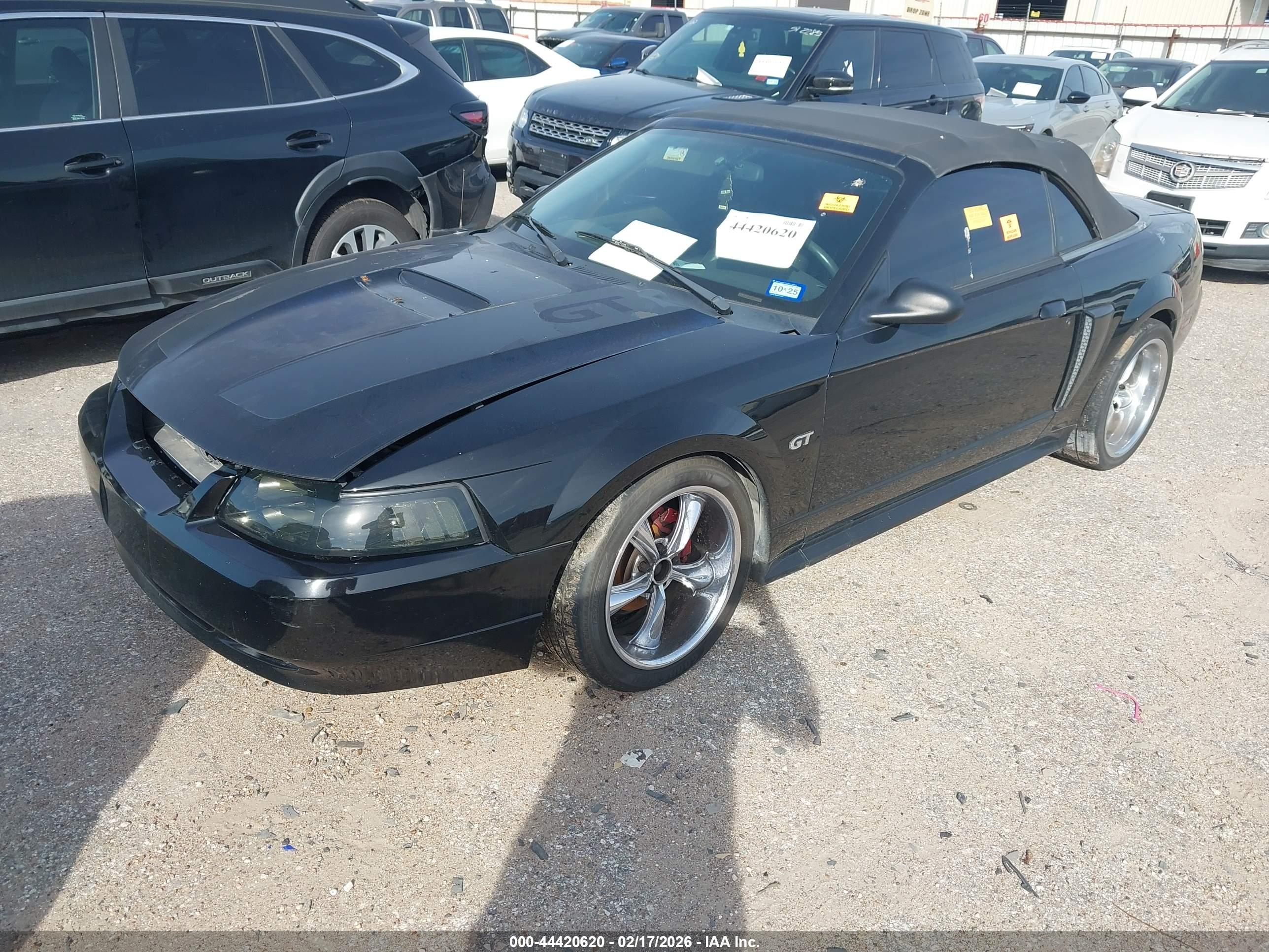 FORD MUSTANG image 2