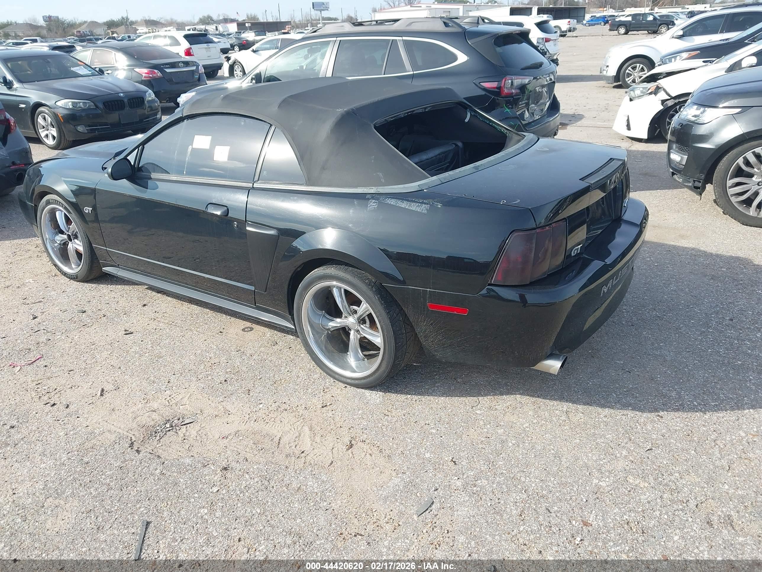 FORD MUSTANG image 3