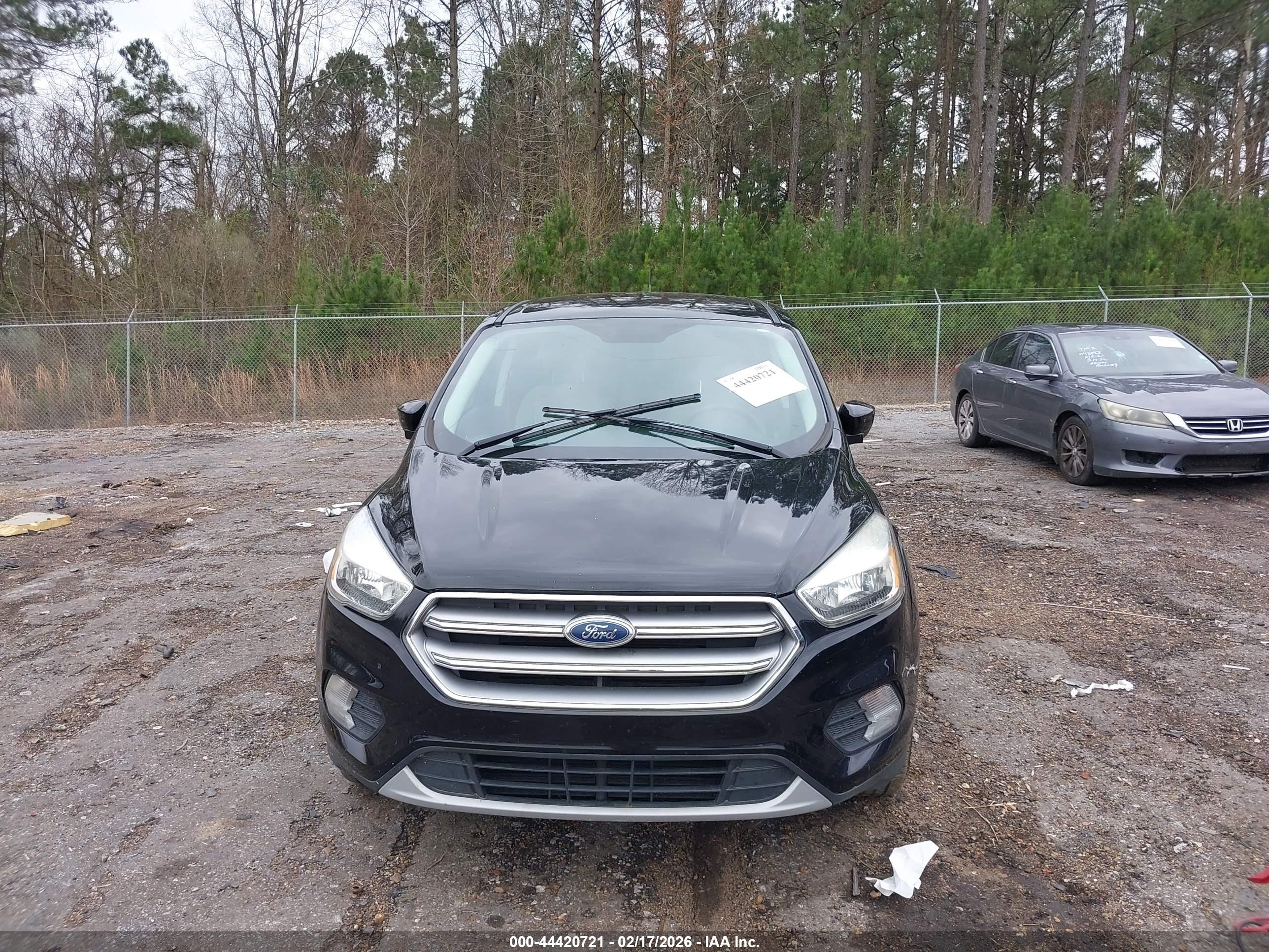 FORD ESCAPE image 6