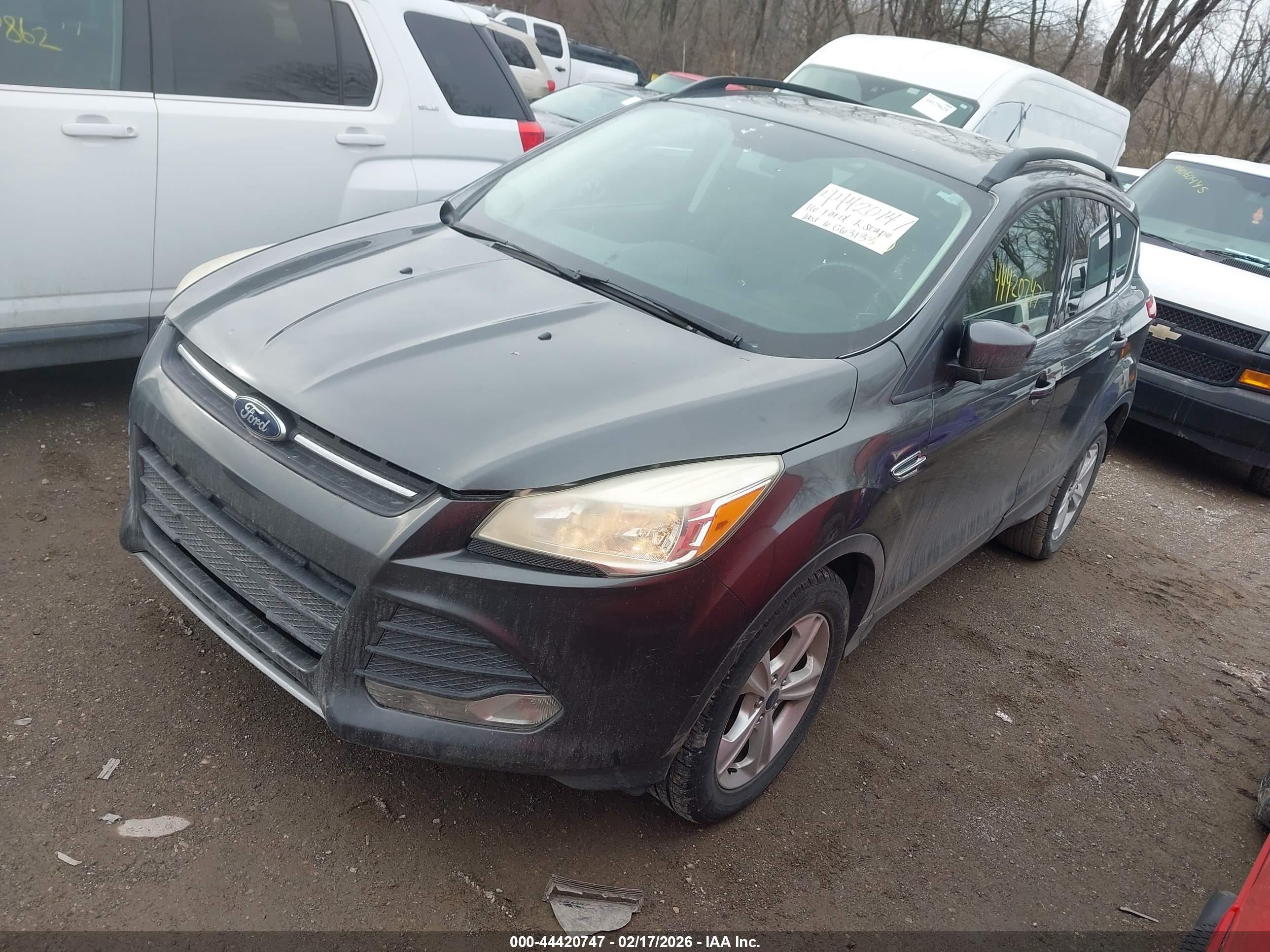 FORD ESCAPE image 2