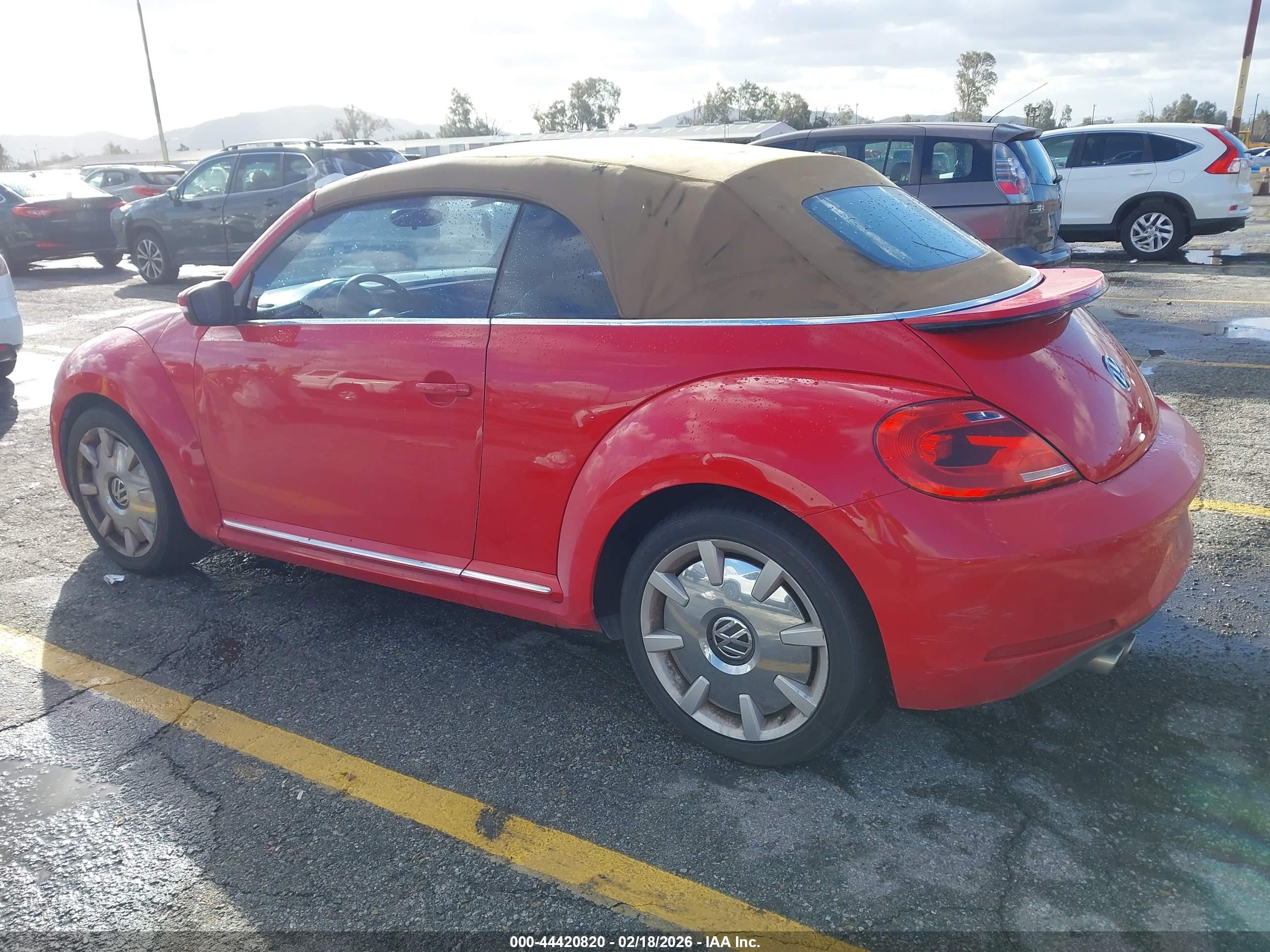 VOLKSWAGEN BEETLE image 3