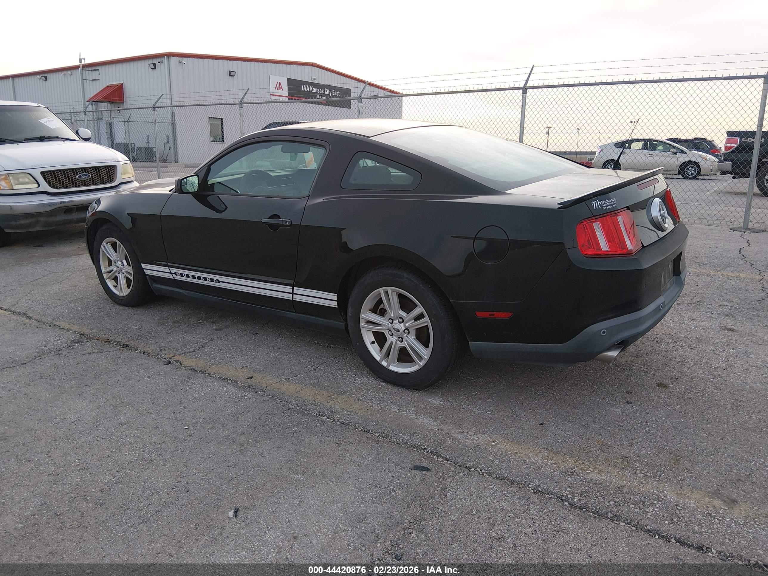 FORD MUSTANG image 3