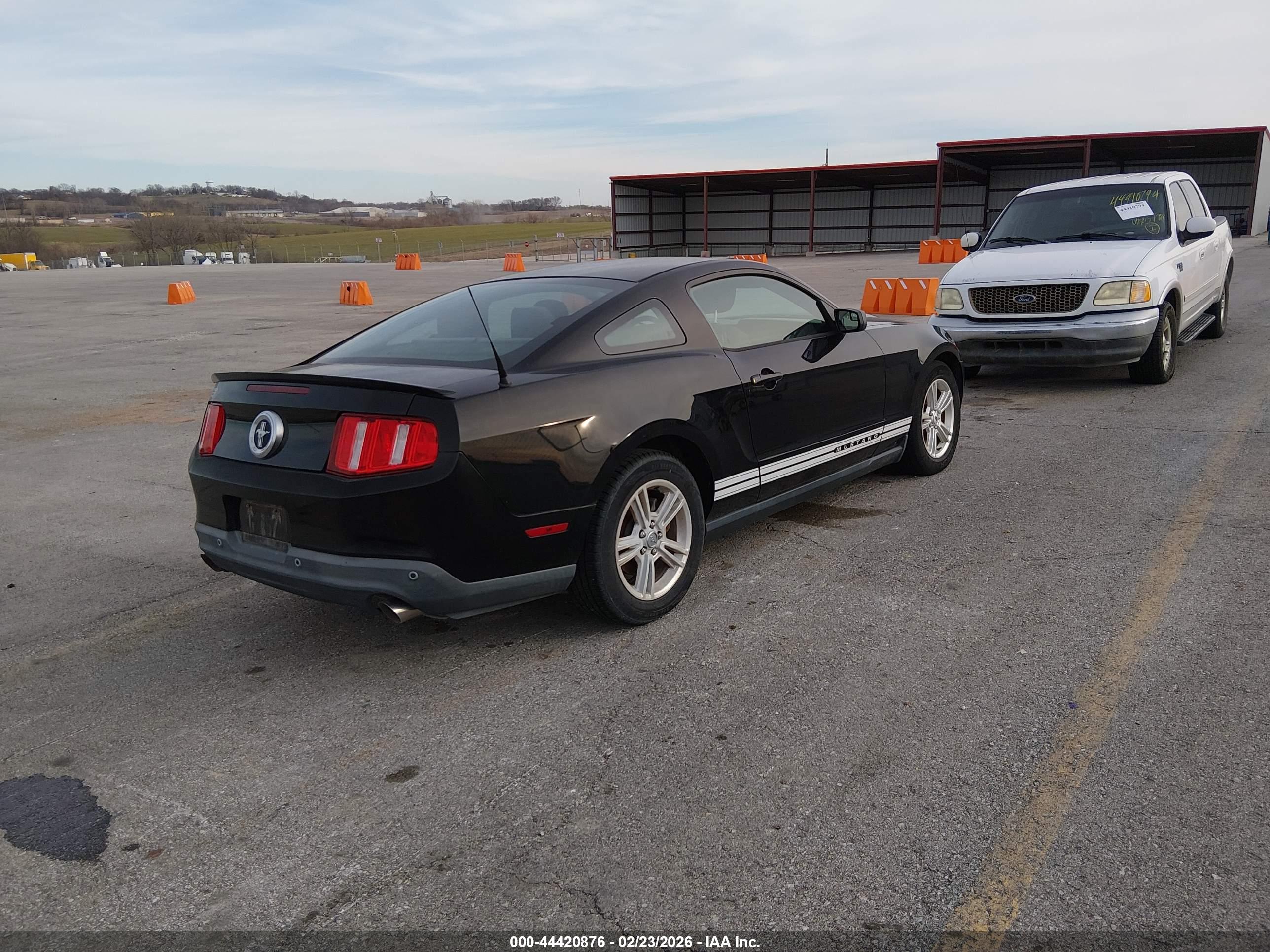 FORD MUSTANG image 4