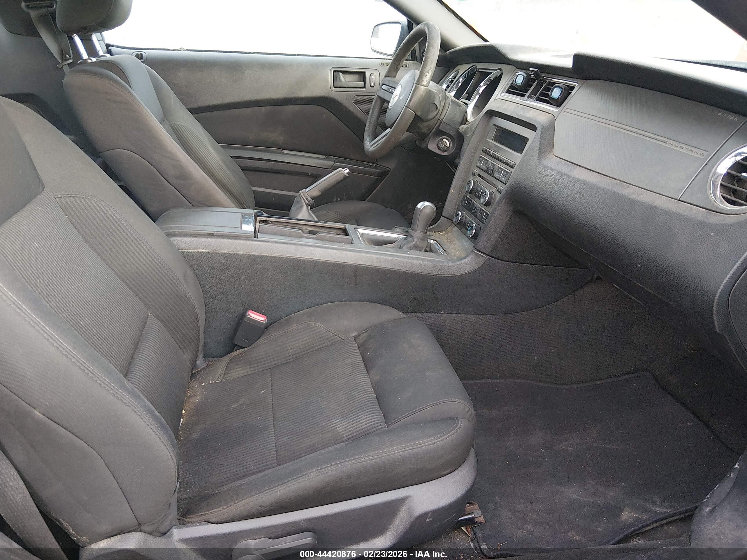 FORD MUSTANG image 5