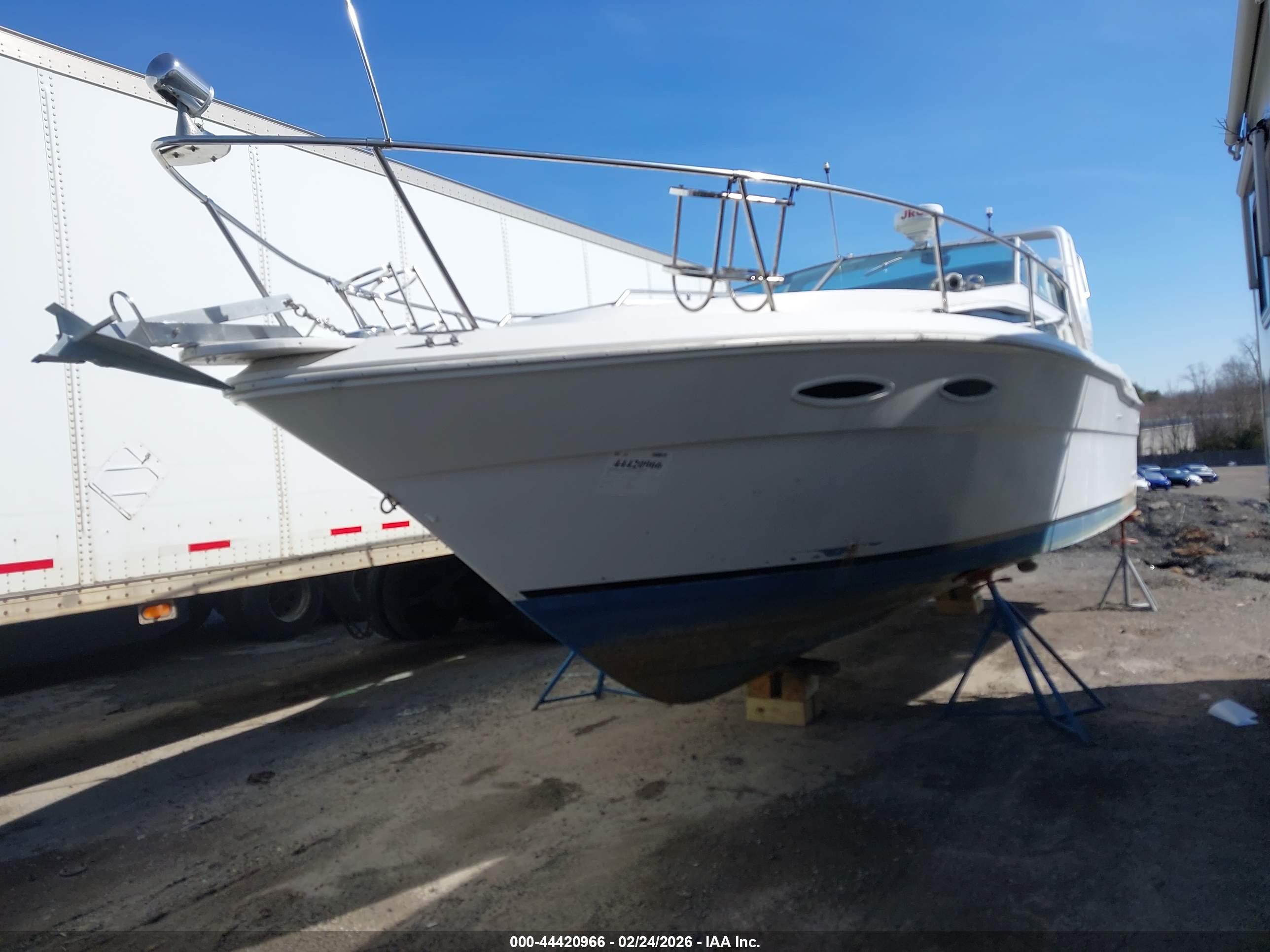 SEA RAY image 2