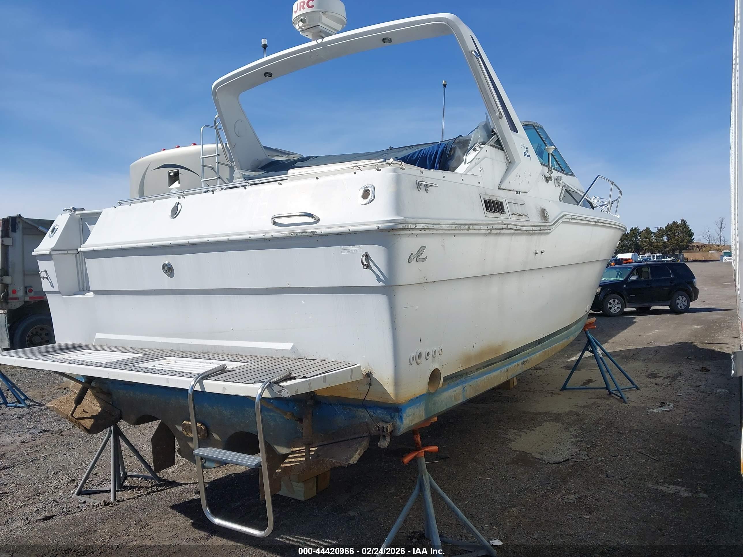 SEA RAY image 4