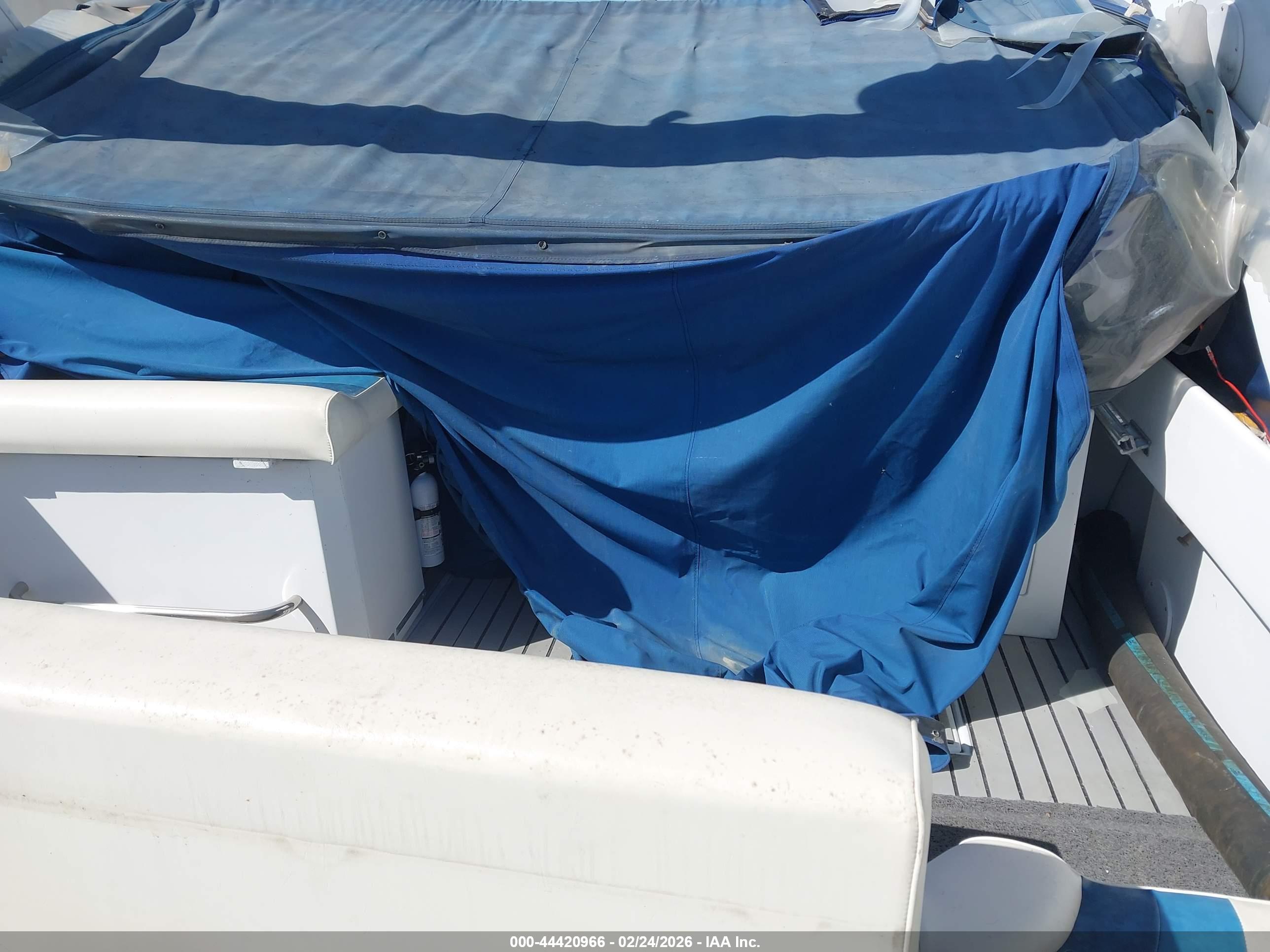 SEA RAY image 5