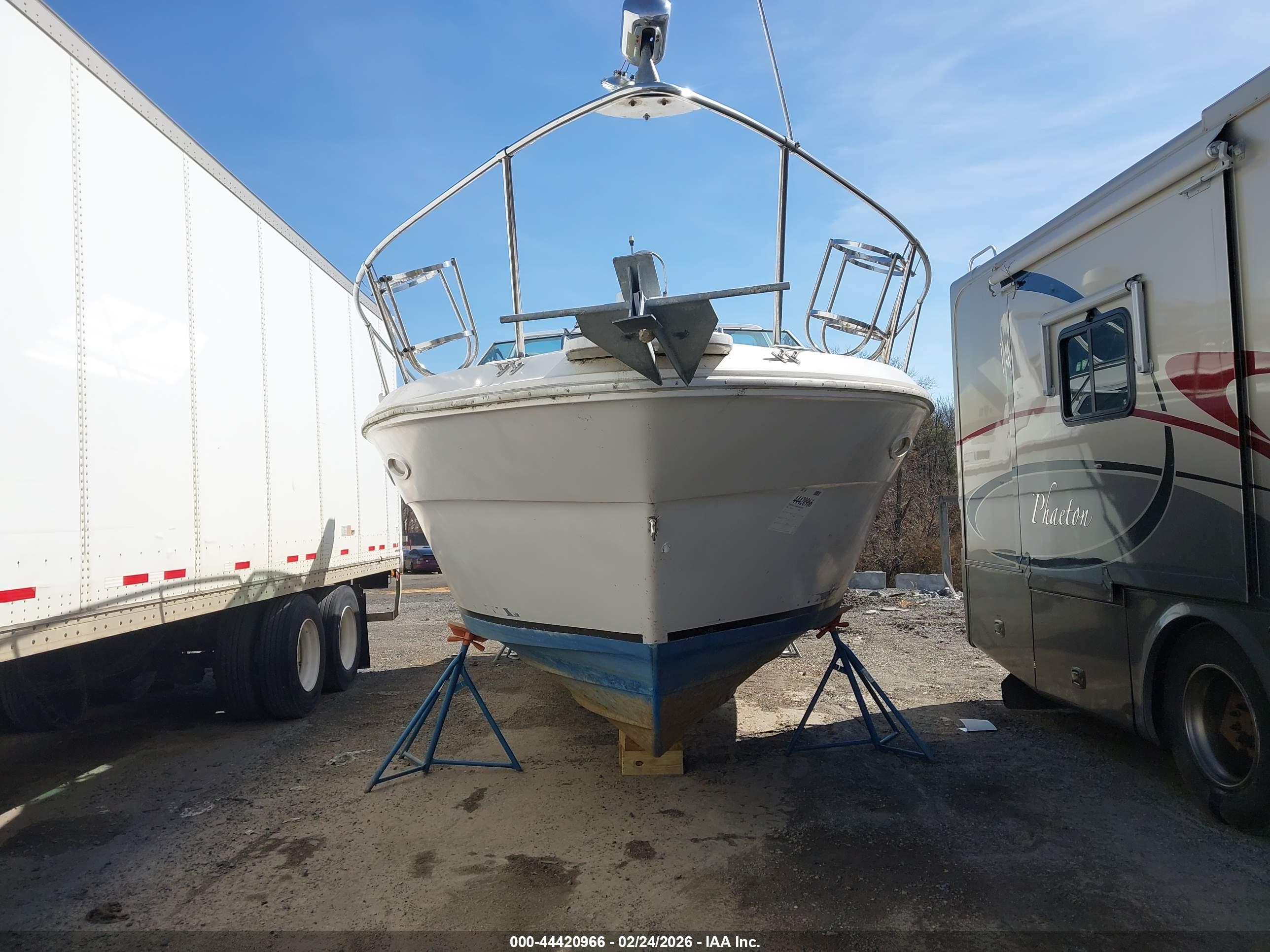 SEA RAY image 6