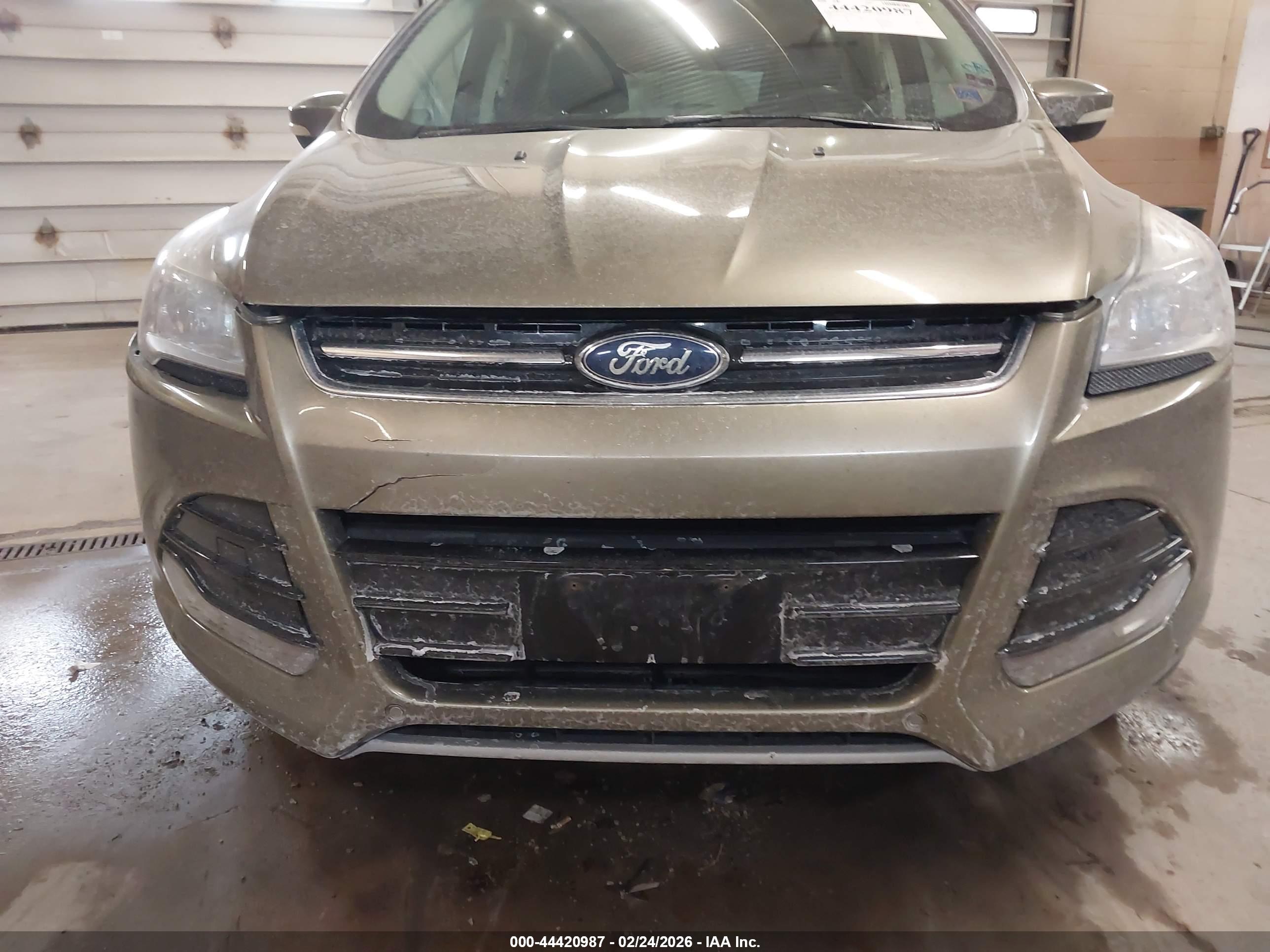FORD ESCAPE image 6