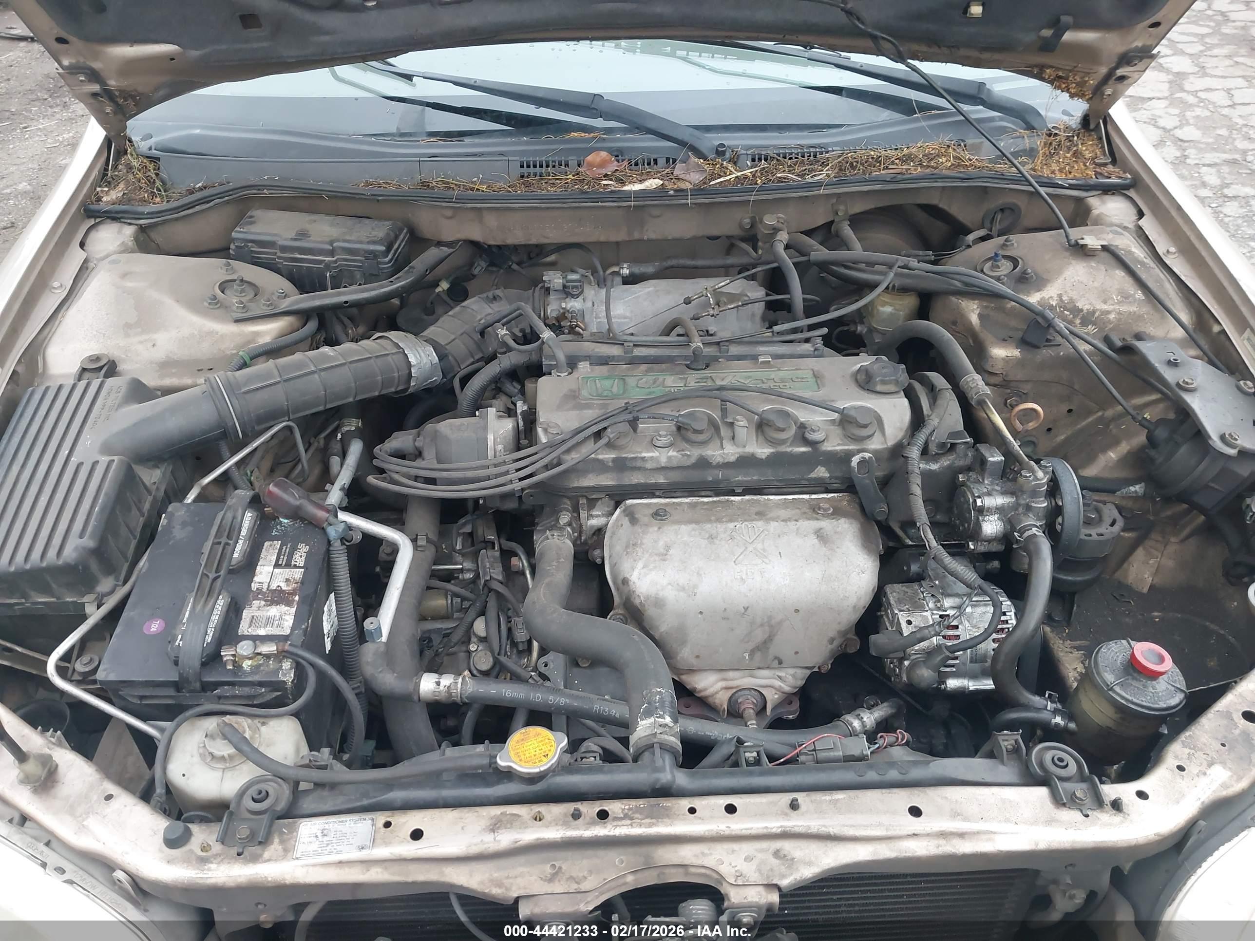 HONDA ACCORD image 10