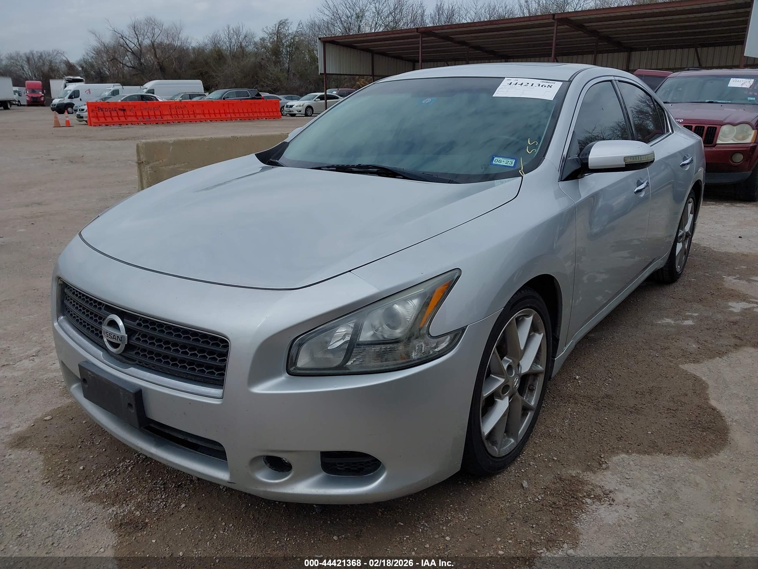 NISSAN MAXIMA image 2