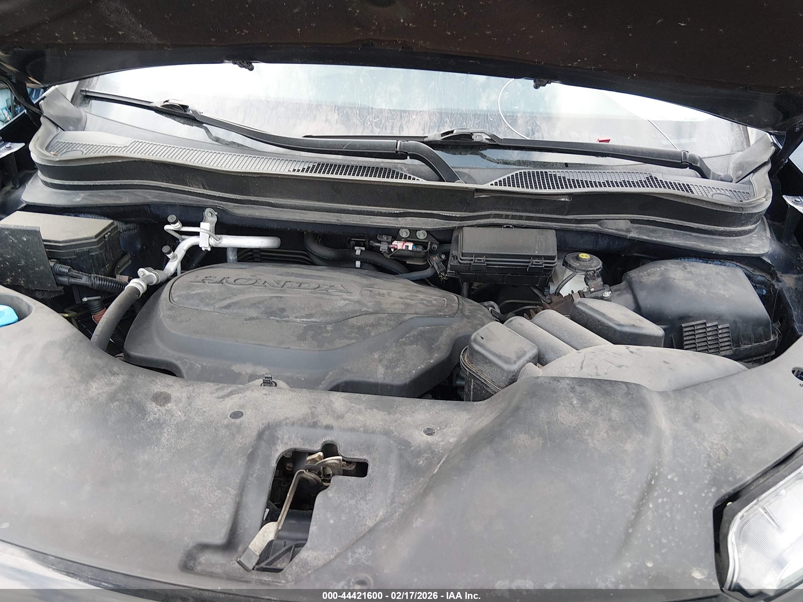 HONDA PASSPORT image 10