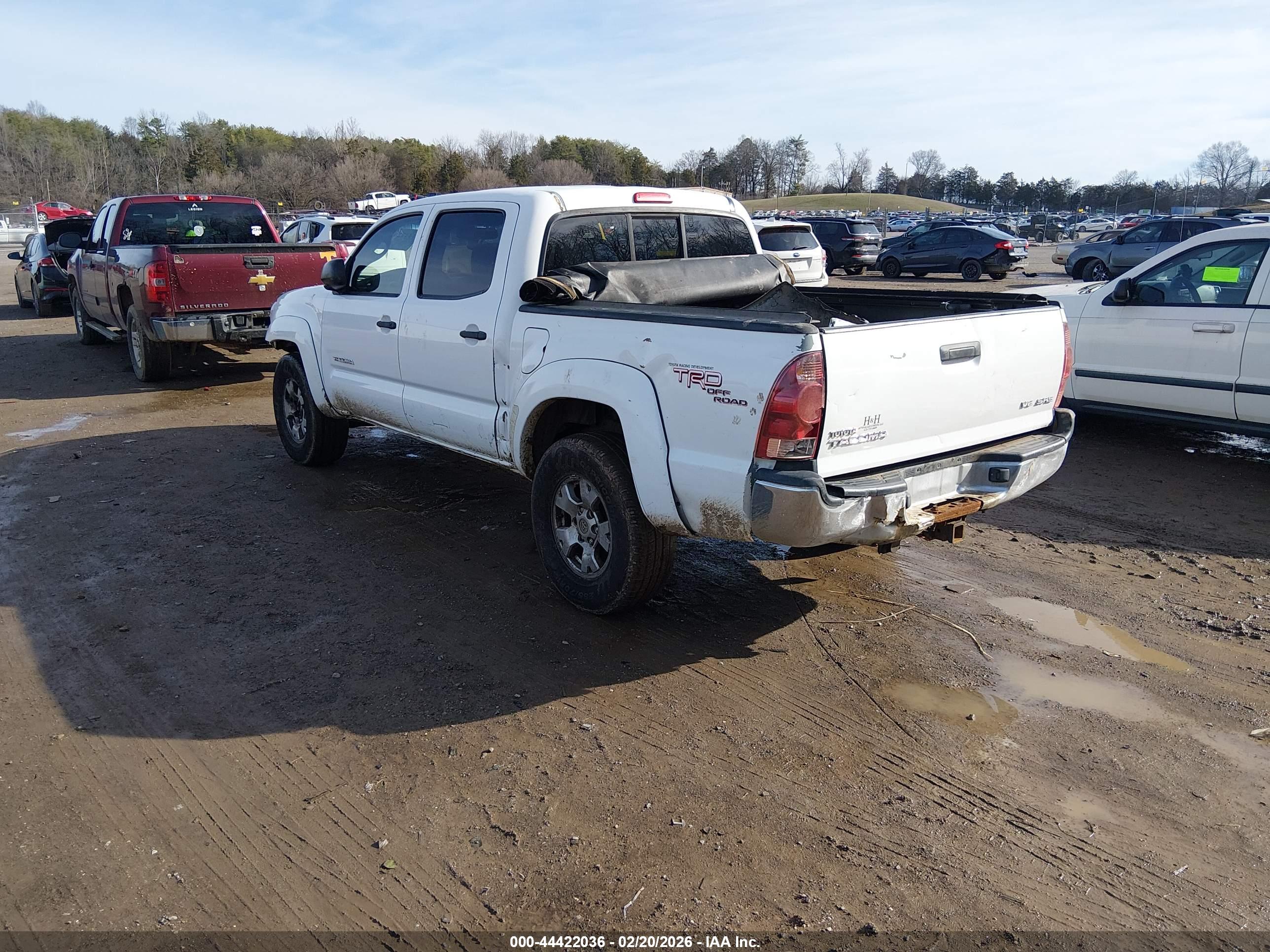 TOYOTA TACOMA image 3