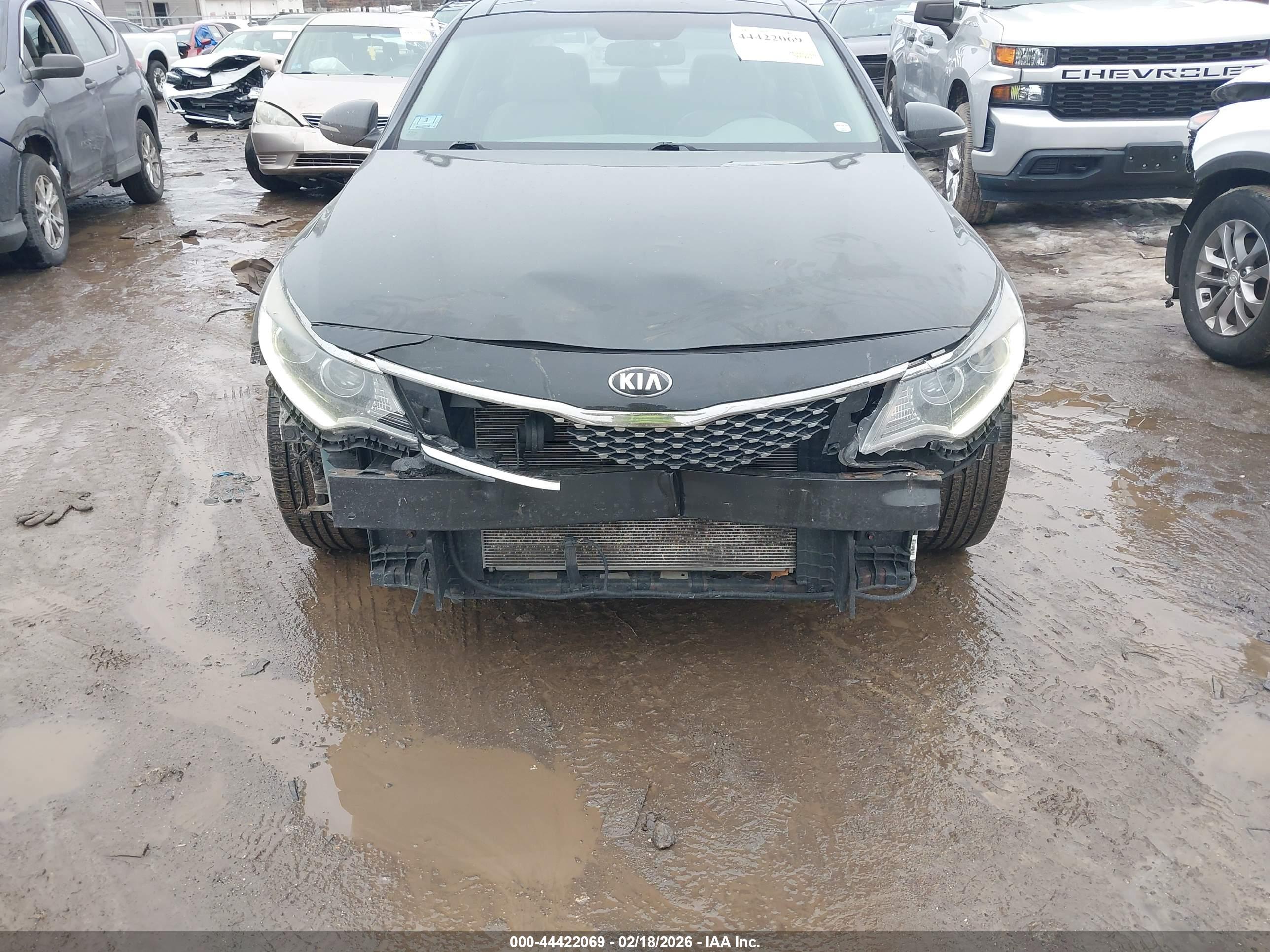 KIA OPTIMA image 6