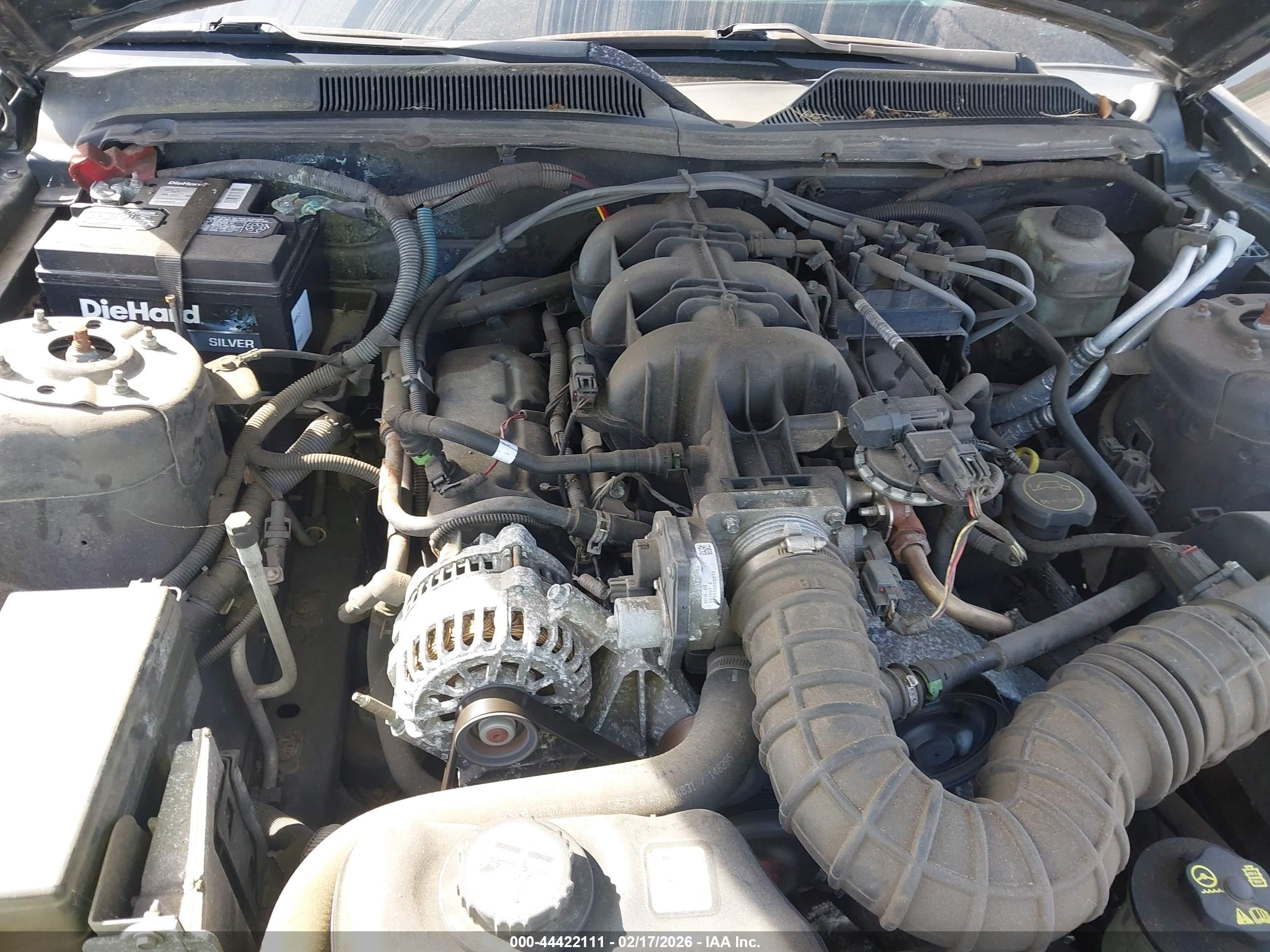 FORD MUSTANG image 10