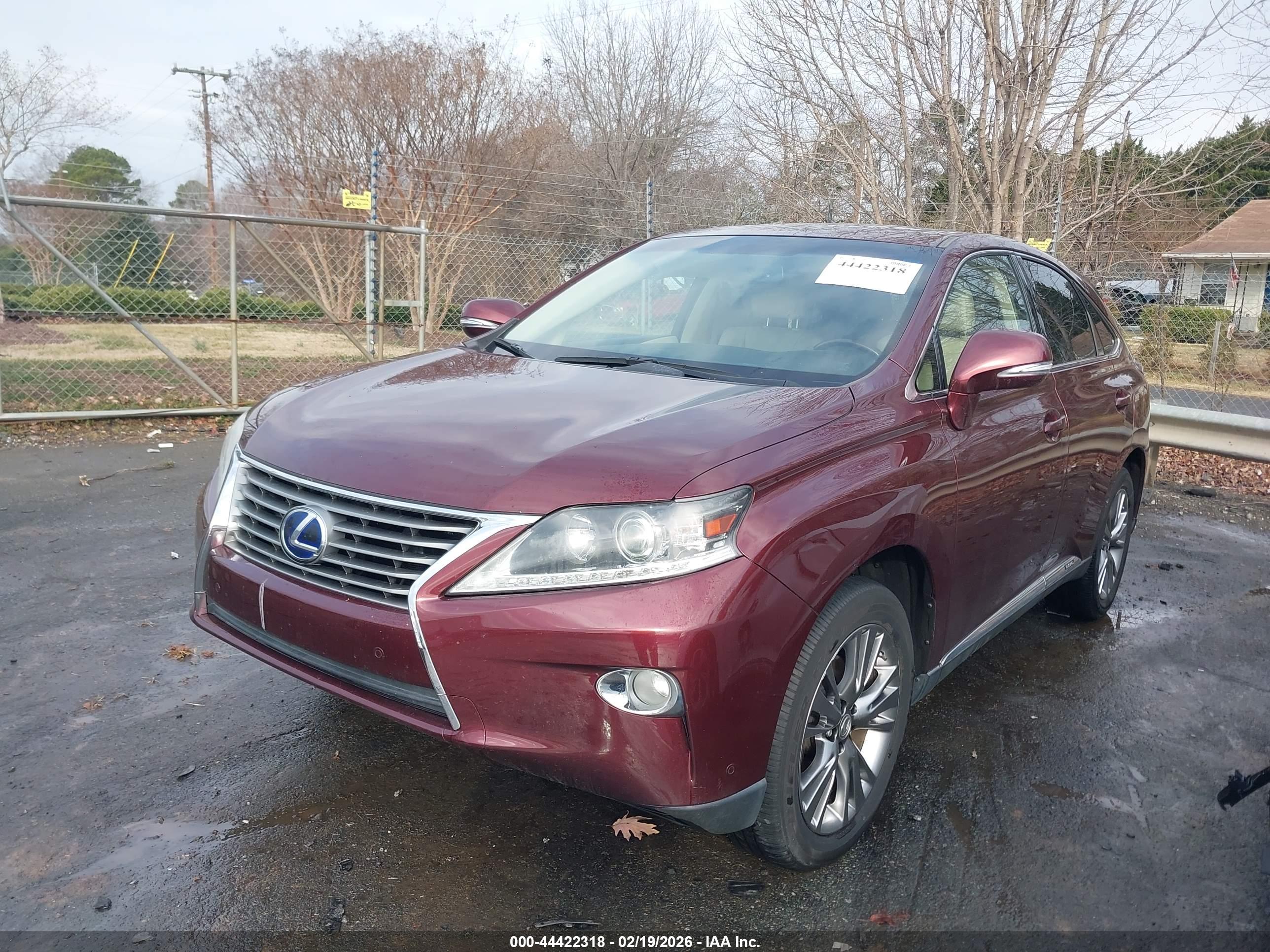 LEXUS RX image 2