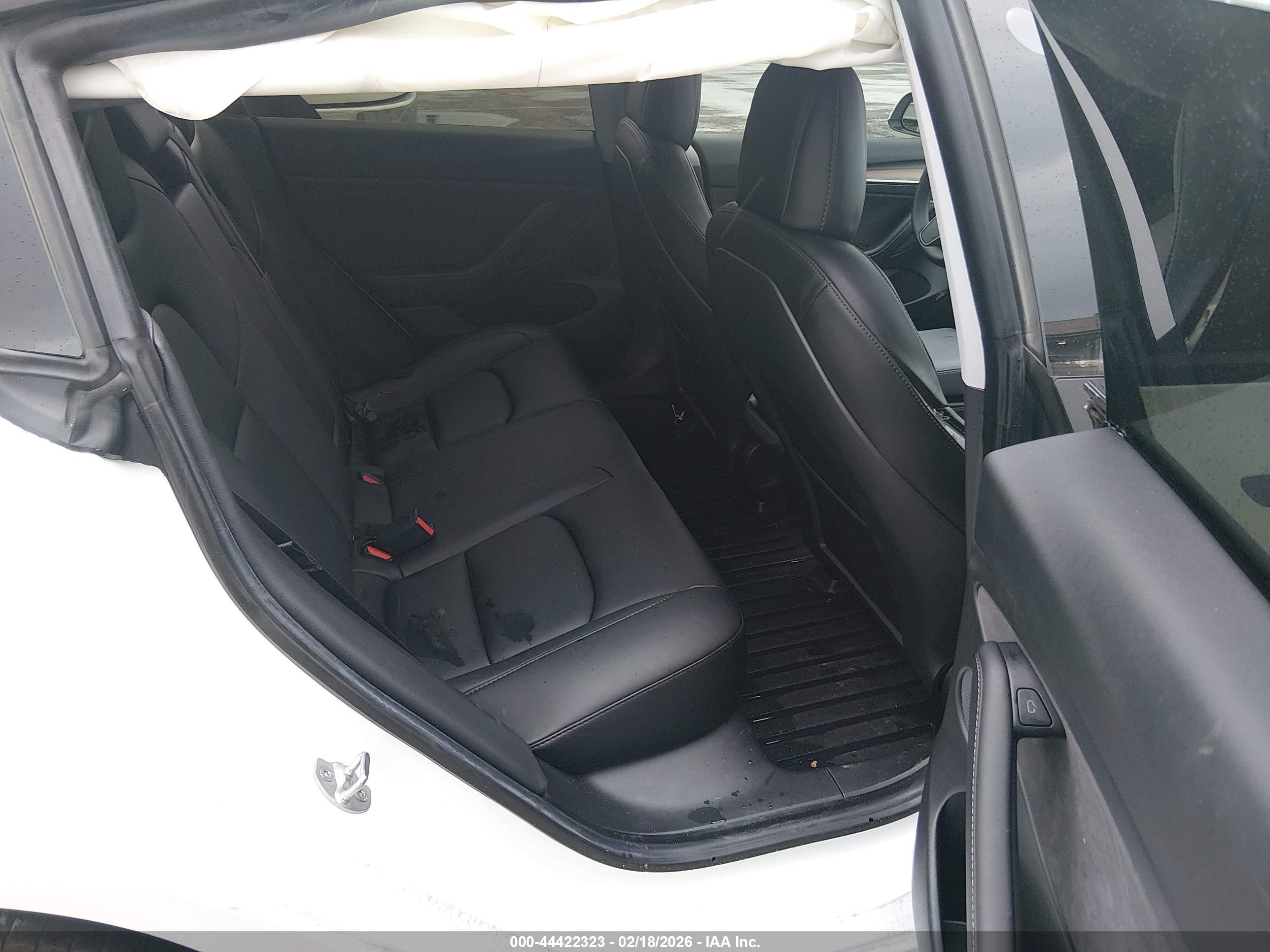 TESLA MODEL image 8