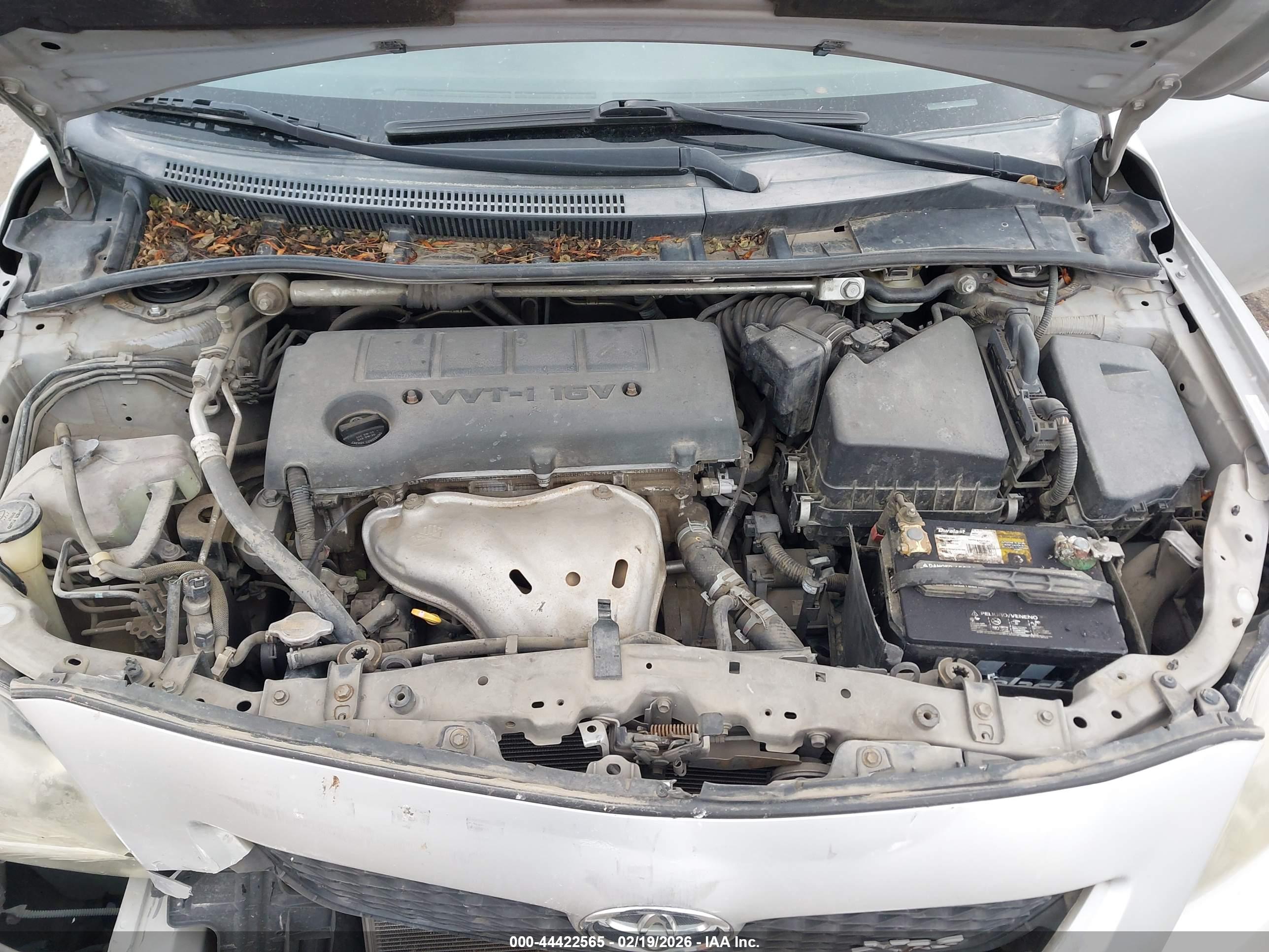 TOYOTA COROLLA image 10