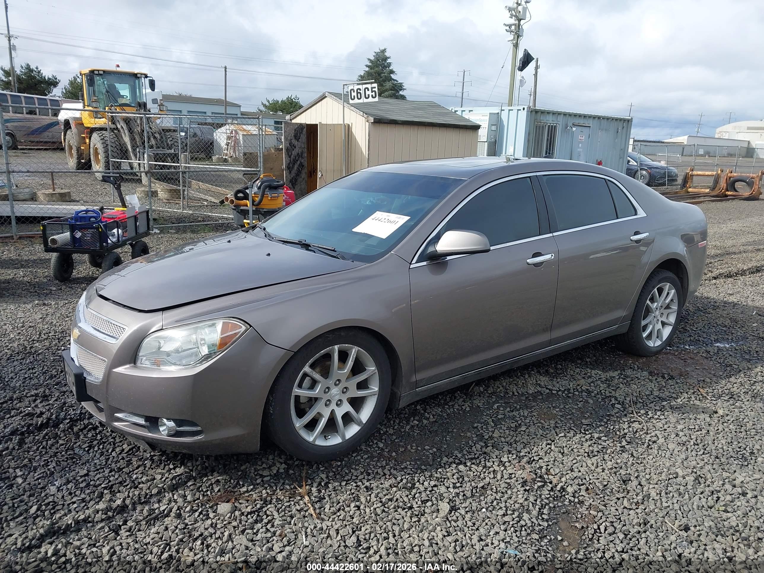 CHEVROLET MALIBU image 2