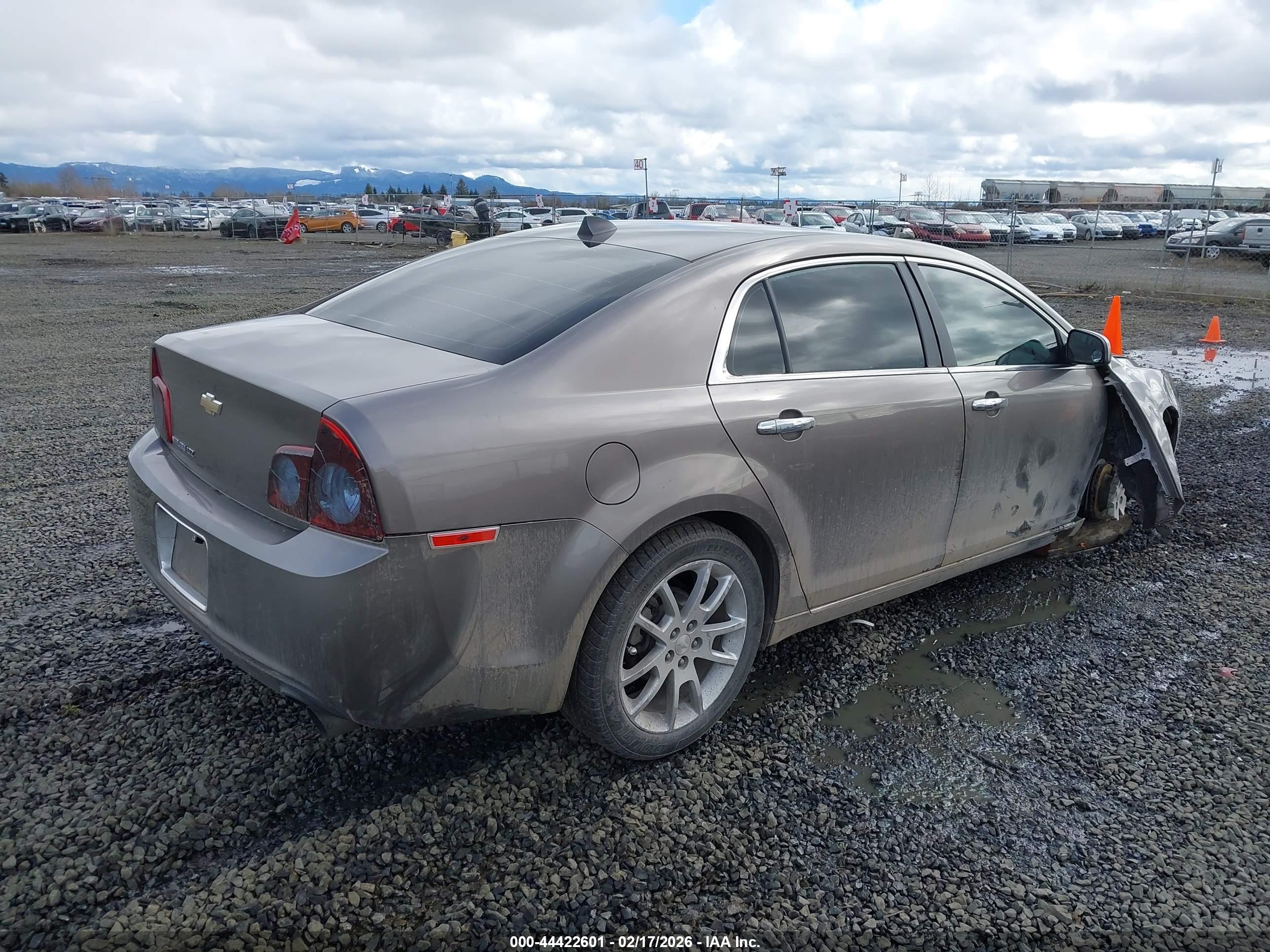 CHEVROLET MALIBU image 4