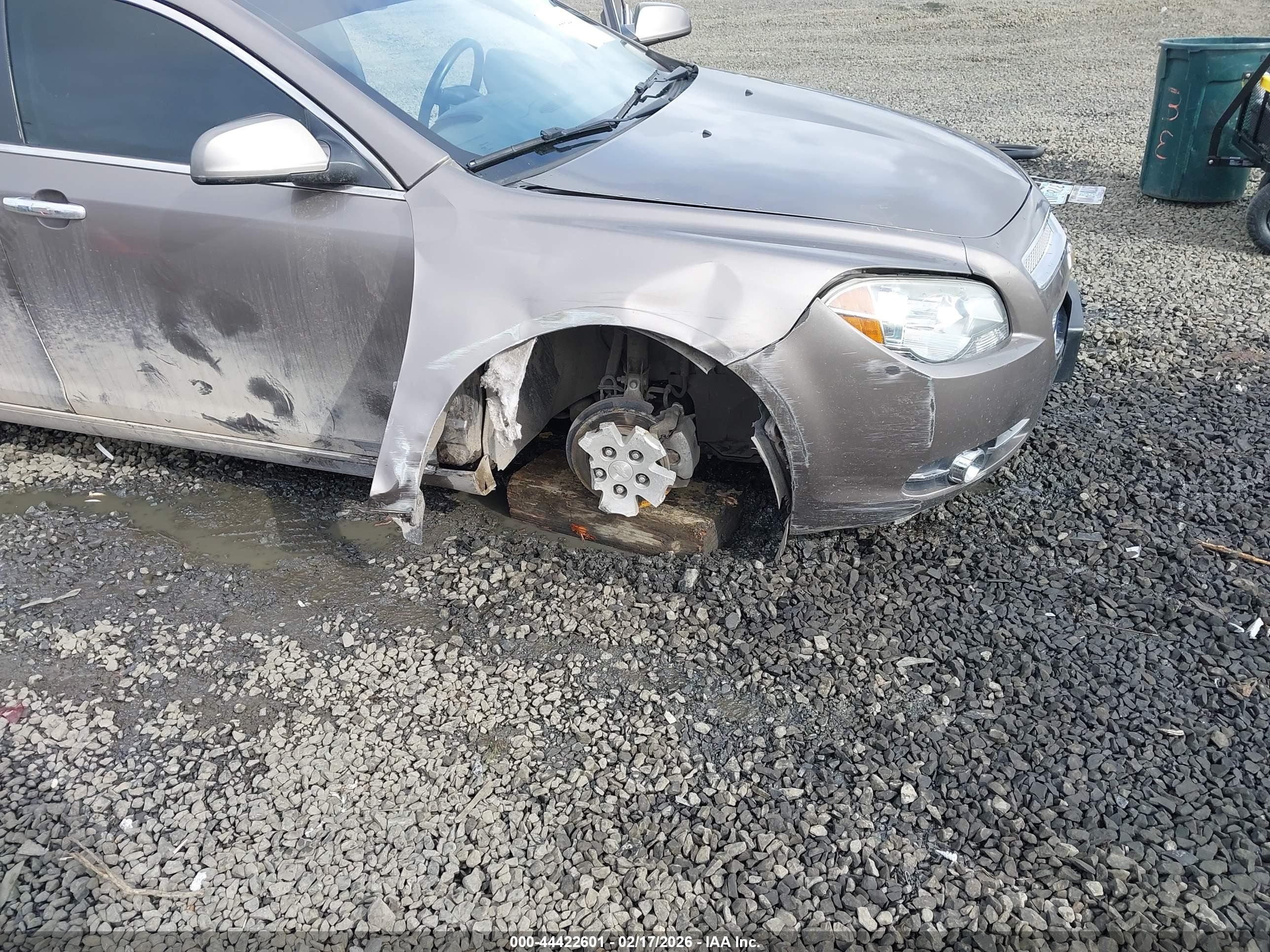 CHEVROLET MALIBU image 6