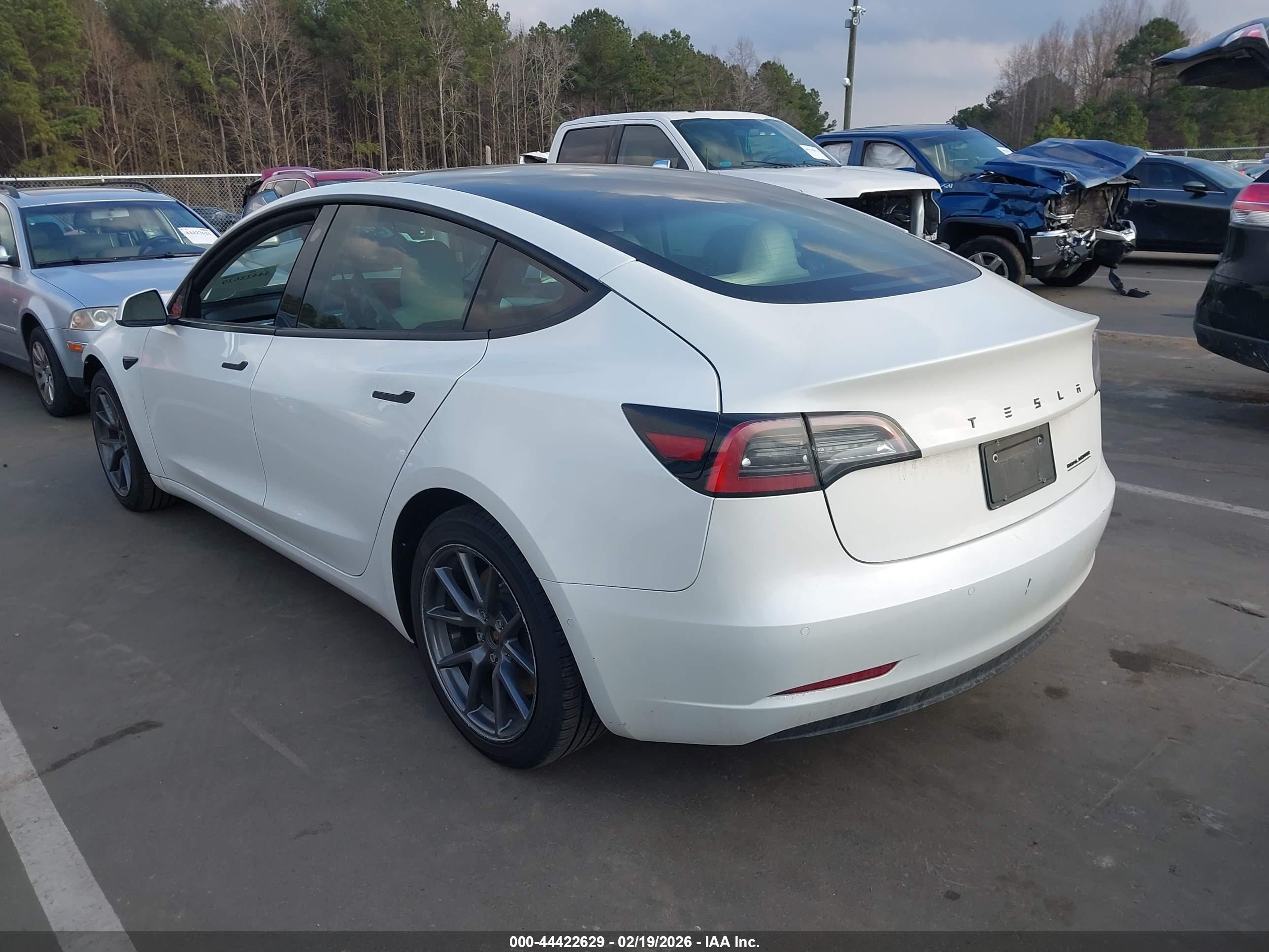 TESLA MODEL image 3