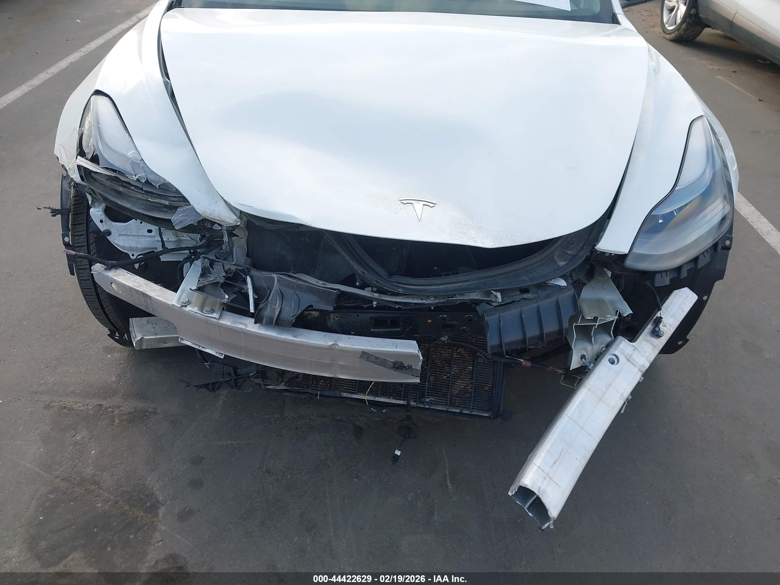 TESLA MODEL image 6