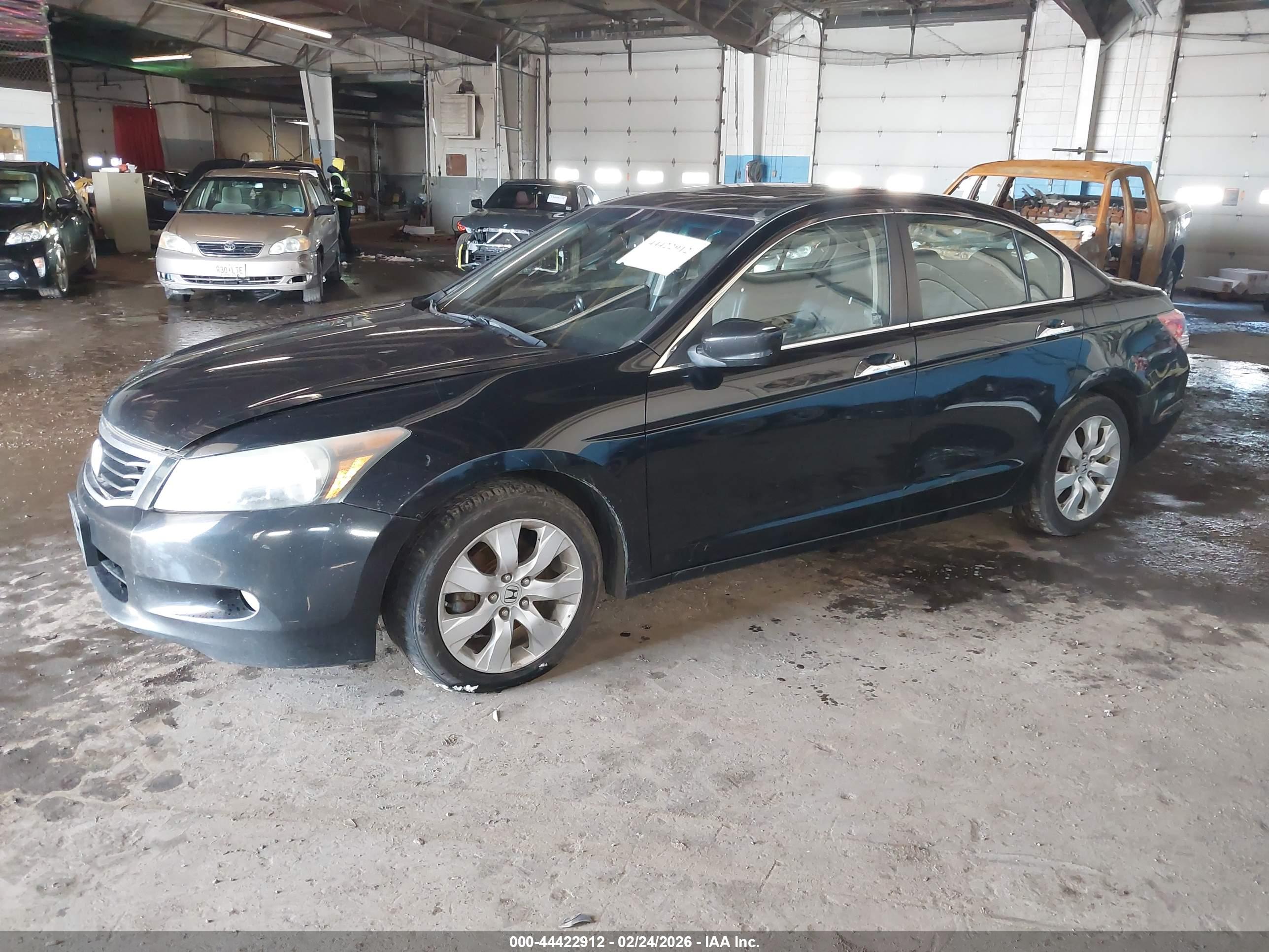 HONDA ACCORD image 2