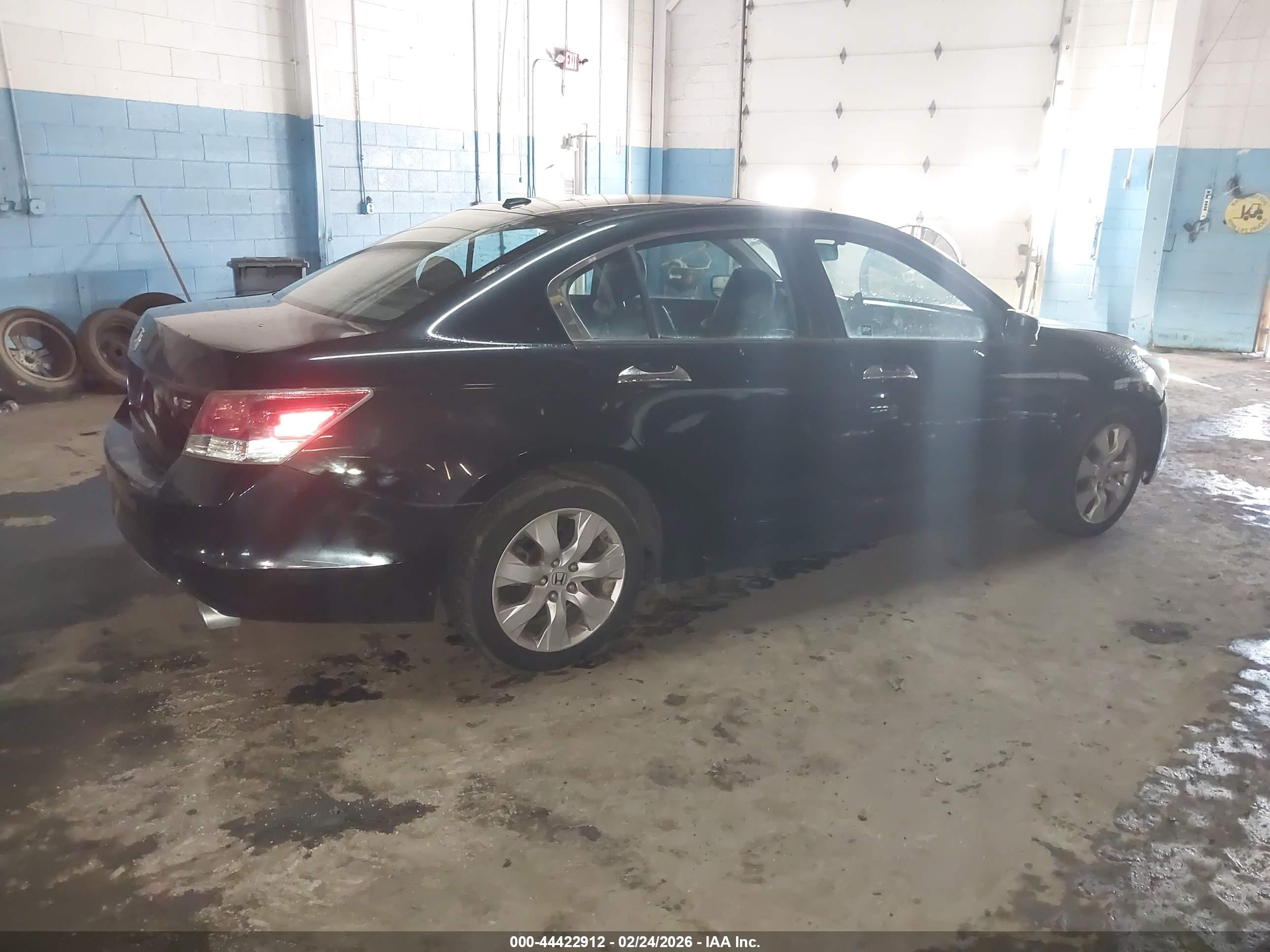 HONDA ACCORD image 4