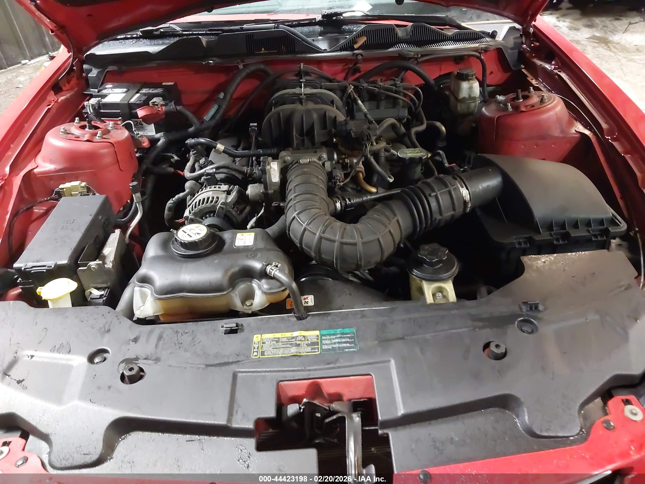FORD MUSTANG image 10