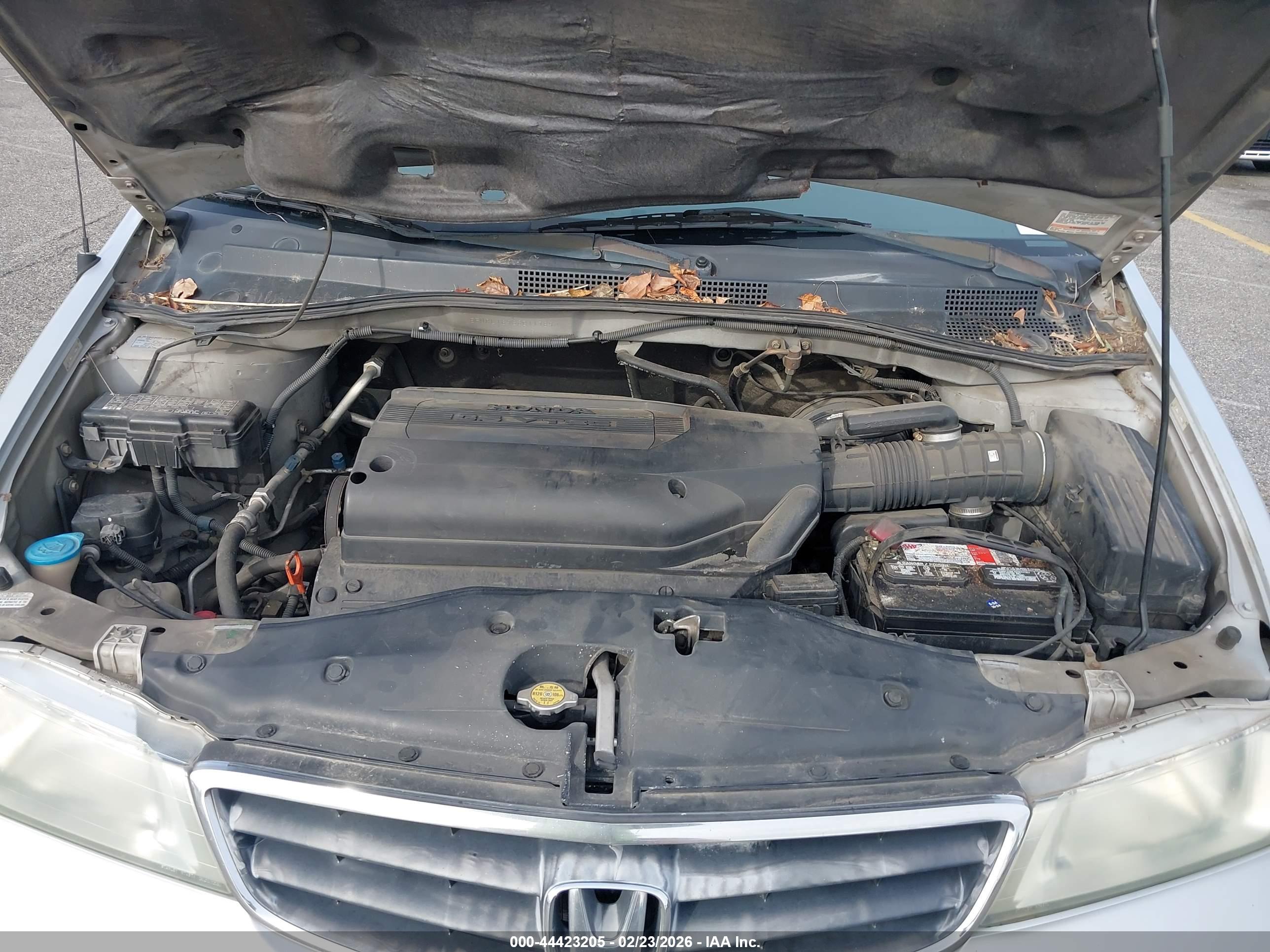 HONDA ODYSSEY image 10