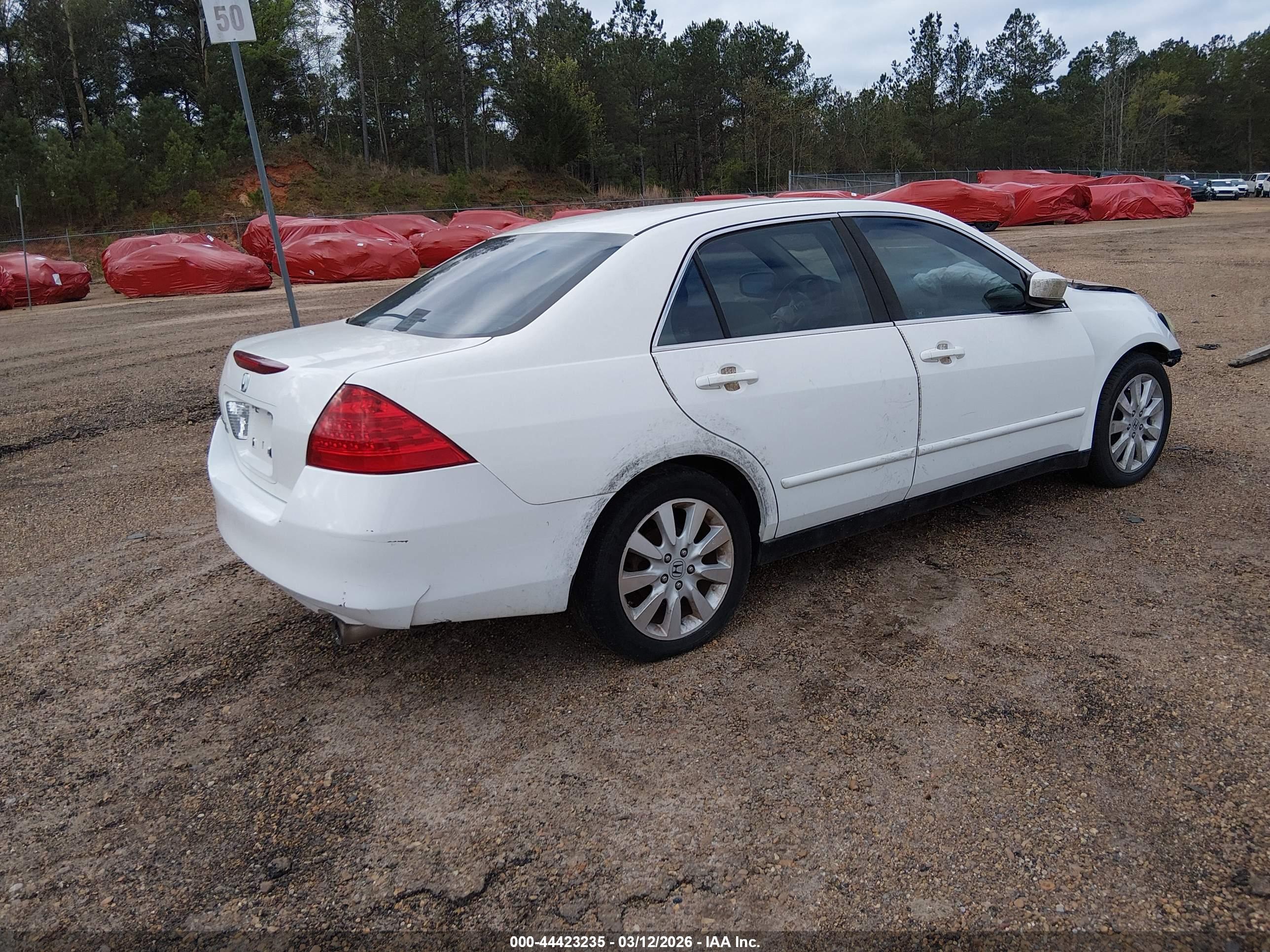 HONDA ACCORD image 4
