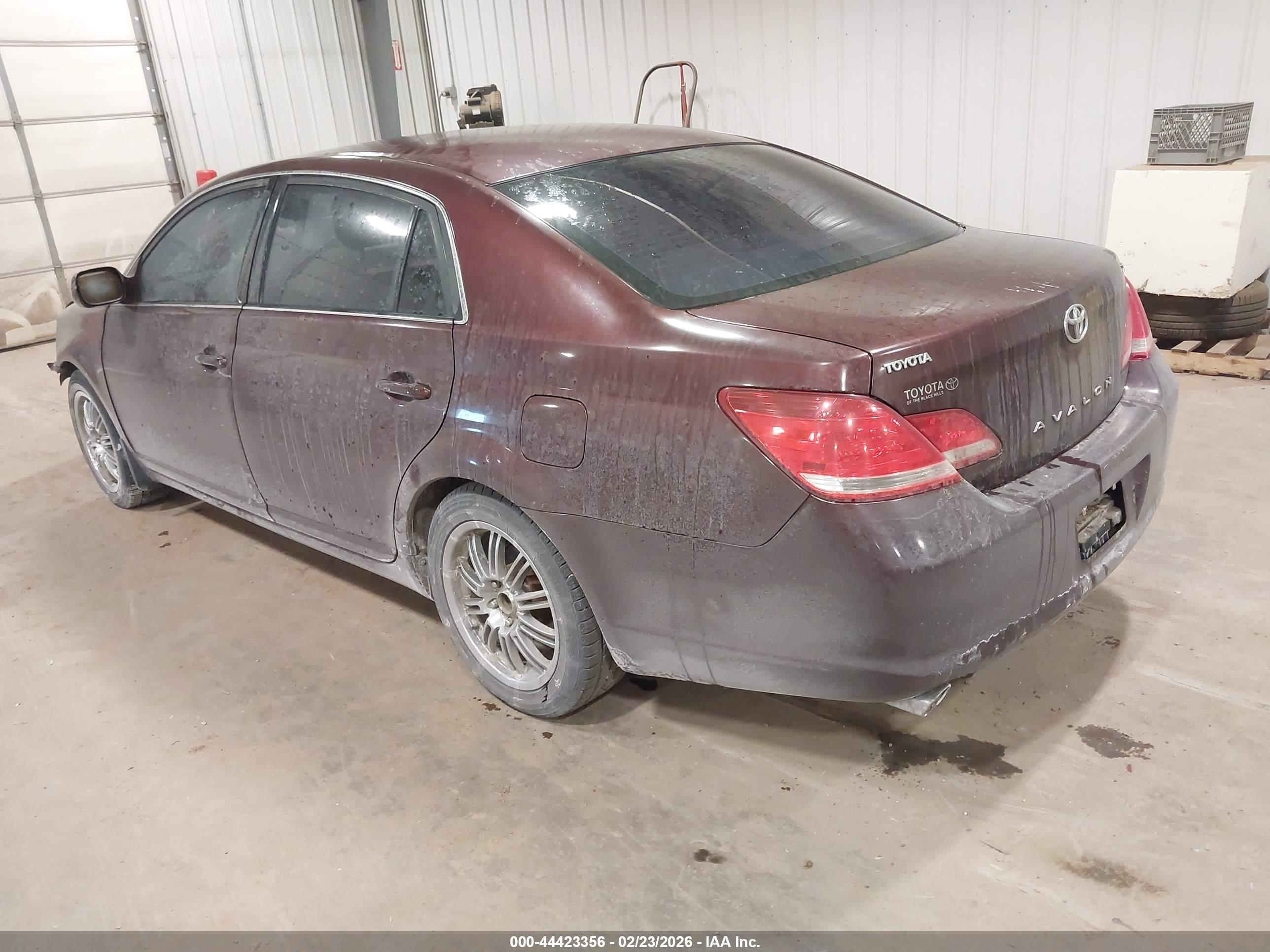 TOYOTA AVALON image 3