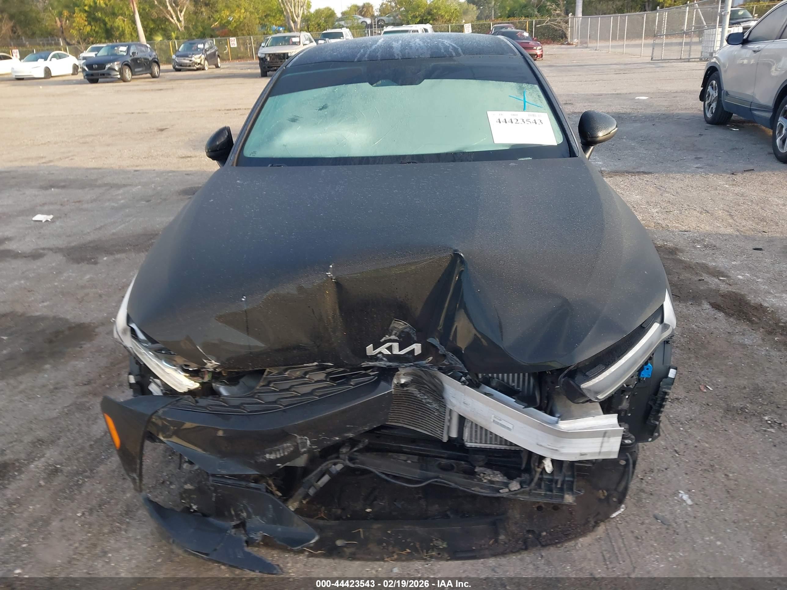 KIA K5 image 6