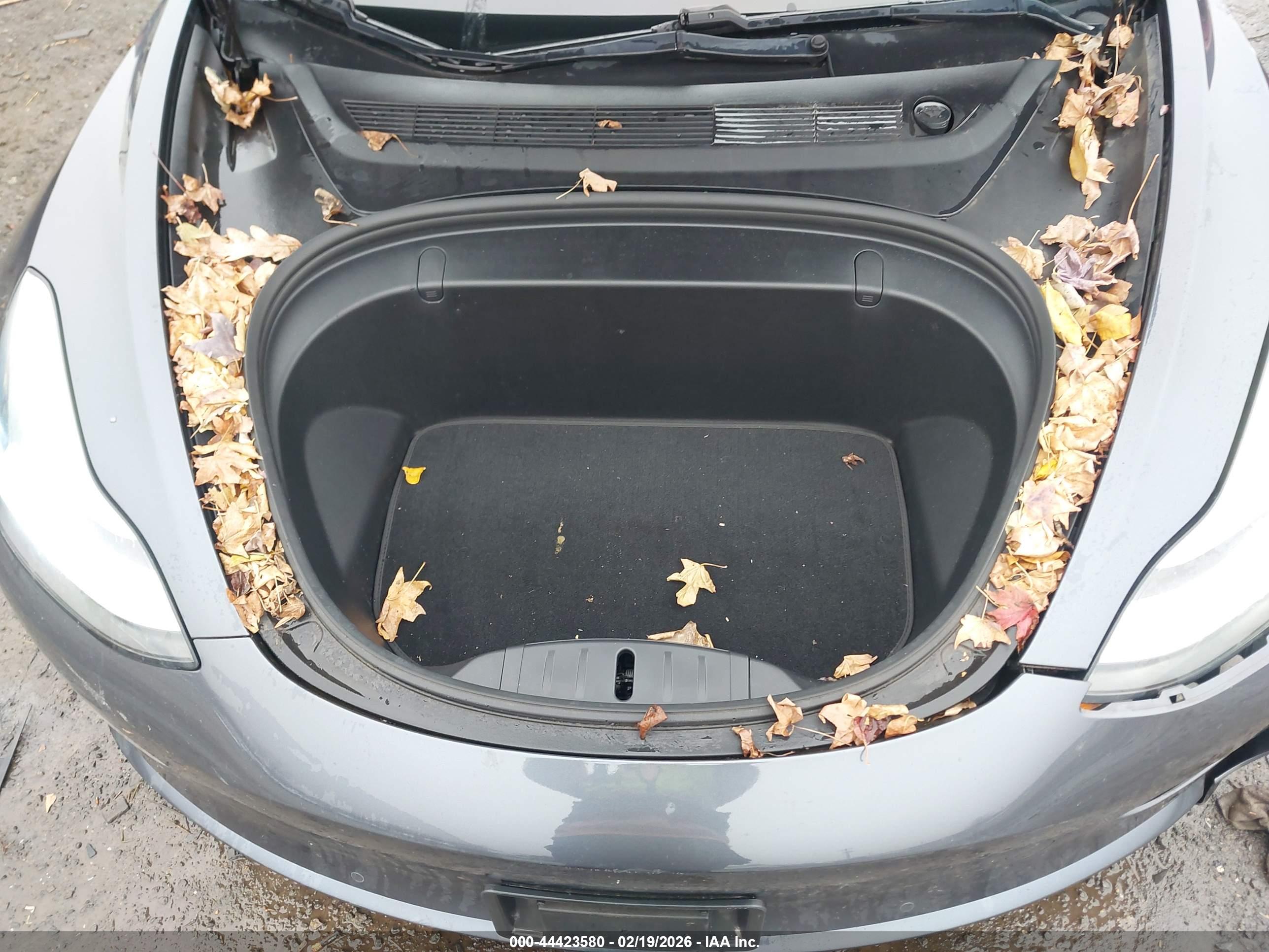 TESLA MODEL image 10