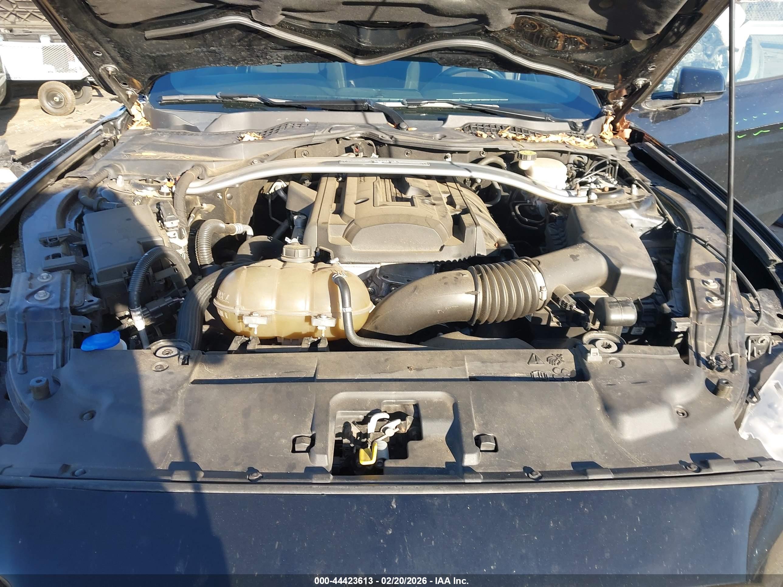 FORD MUSTANG image 10