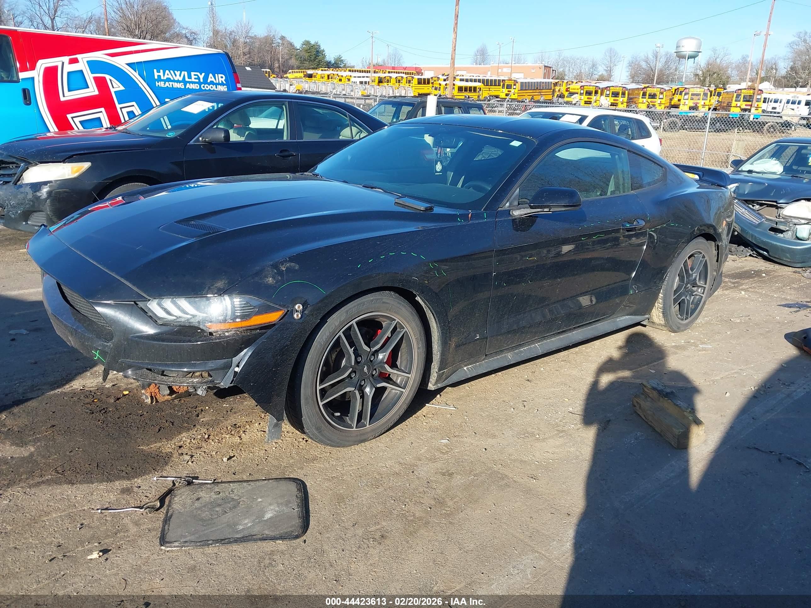 FORD MUSTANG image 2